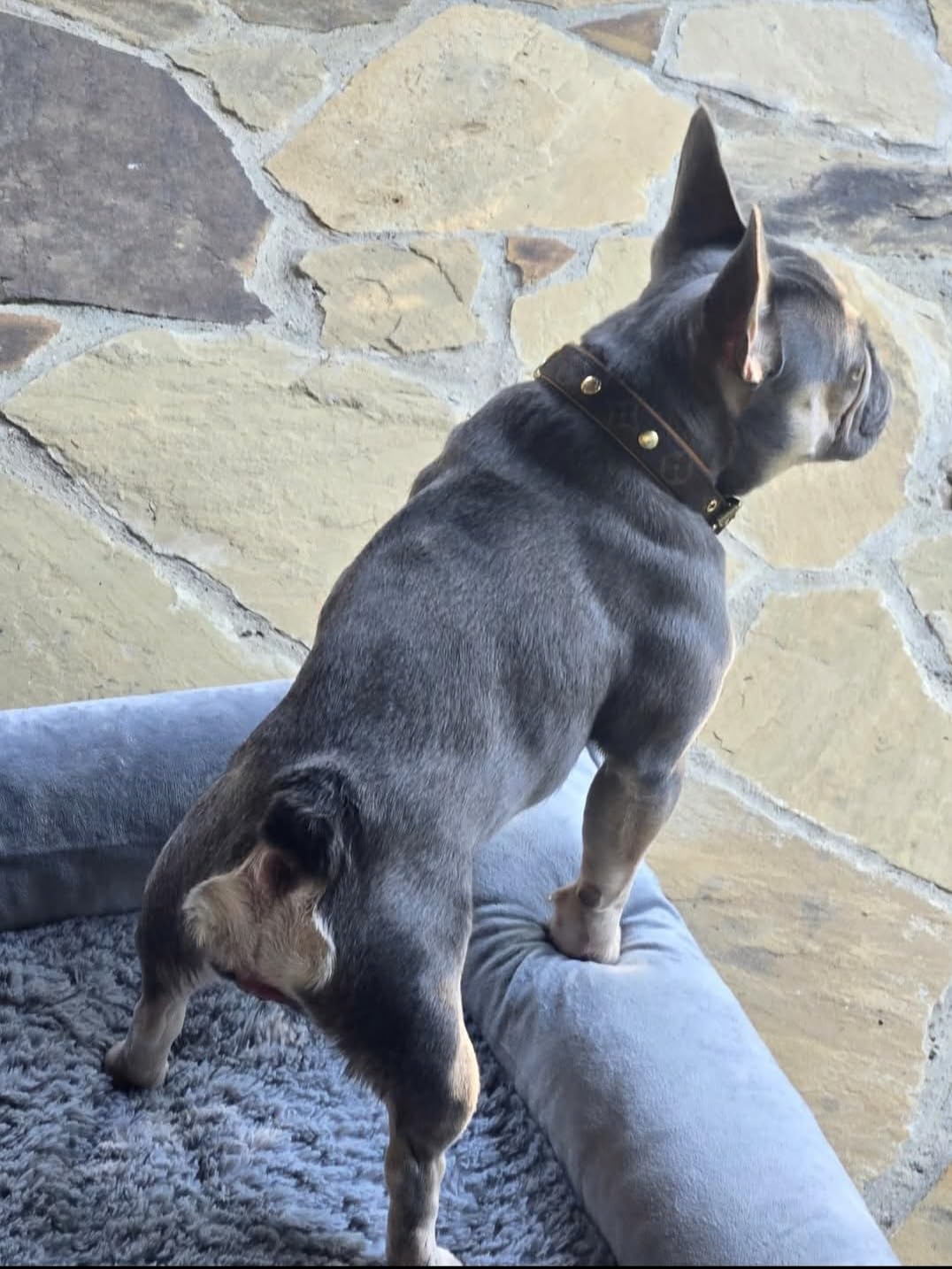 Pure Encapsulations O.N.E. Multivitamin - Once Daily Multivitamin with Antioxidant Complex Metafolin, CoQ10, and Lutein to Support Vision, Cognitive Function, and Cellular Health* - 60 Capsules customer photo 1