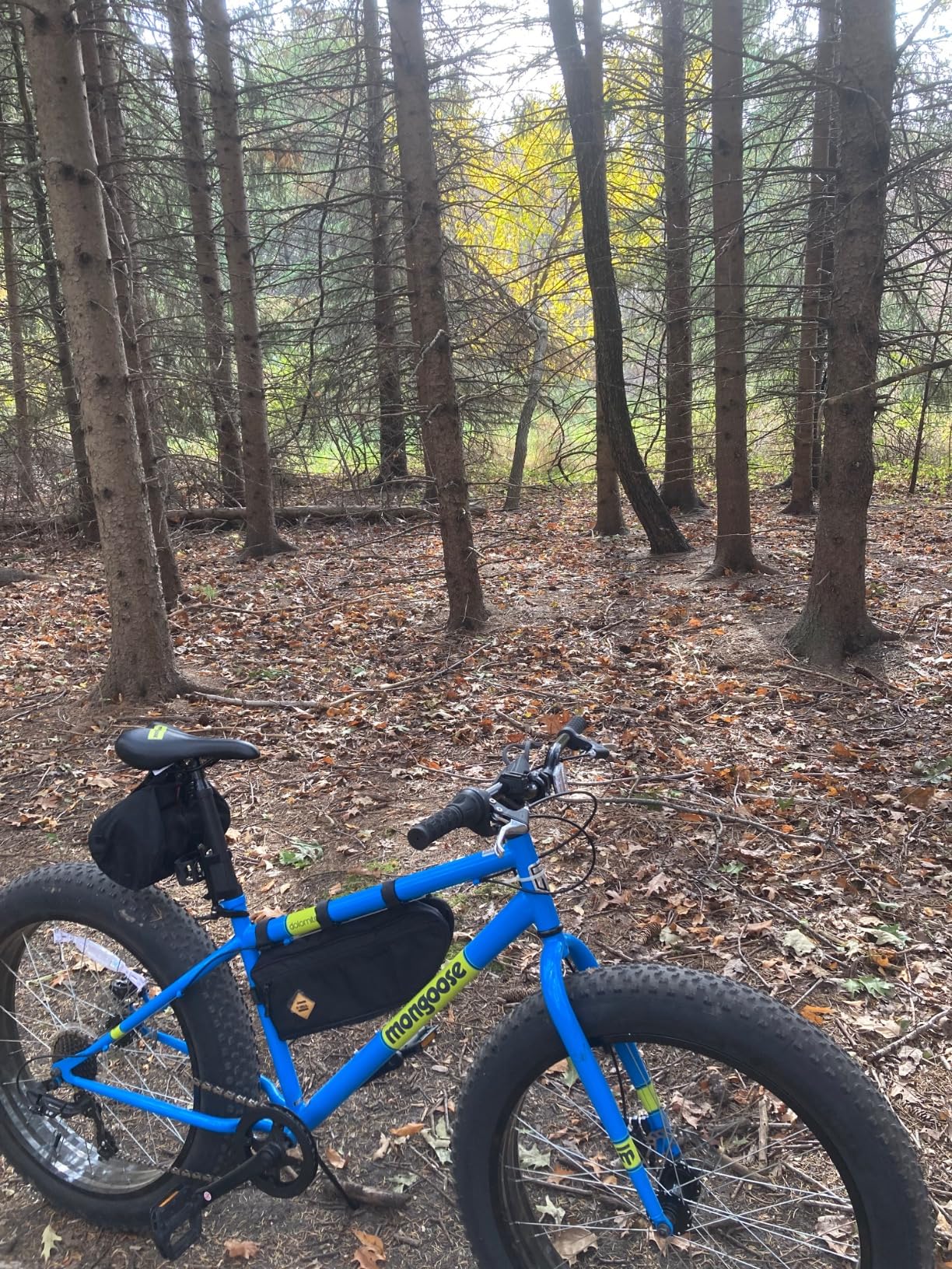 Mongoose Dolomite Fat Tire Mountain Bike, for Men and Women, 26 Inch Wheels, 4 Inch Wide Knobby Tires, 7-Speed, Adult Steel Frame, Front and Rear Brakes, Light Blue customer photo 2