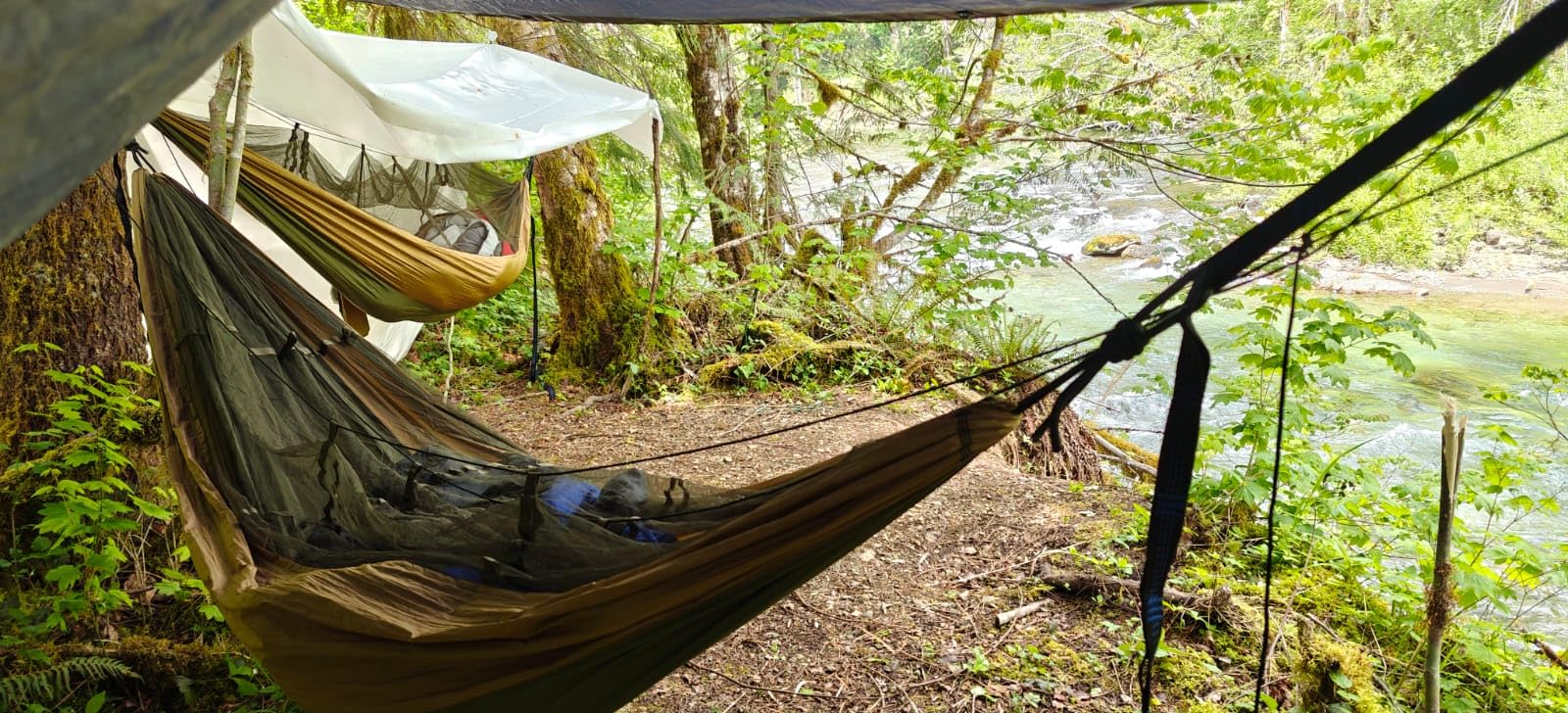 Sunyear Camping Hammock, Portable Single & Double Hammock with Net, 2 Person Hammock Tent with 2 * 10ft Straps customer photo 2