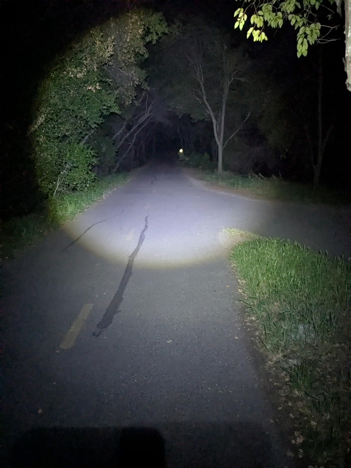 DanForce Headlamp, USB Rechargeable LED Head Lamp, Ultra Bright LUMINUS 1080 Lumen Headlamp Flashlight + Red Light, Zoomable IPX54 Headlight for Adults, Camping, Outdoors & Hard Hat Light customer photo 2