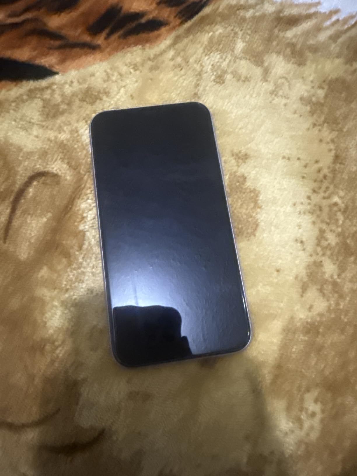 Apple iPhone 11, 64GB, Black - Unlocked (Renewed) customer photo 2