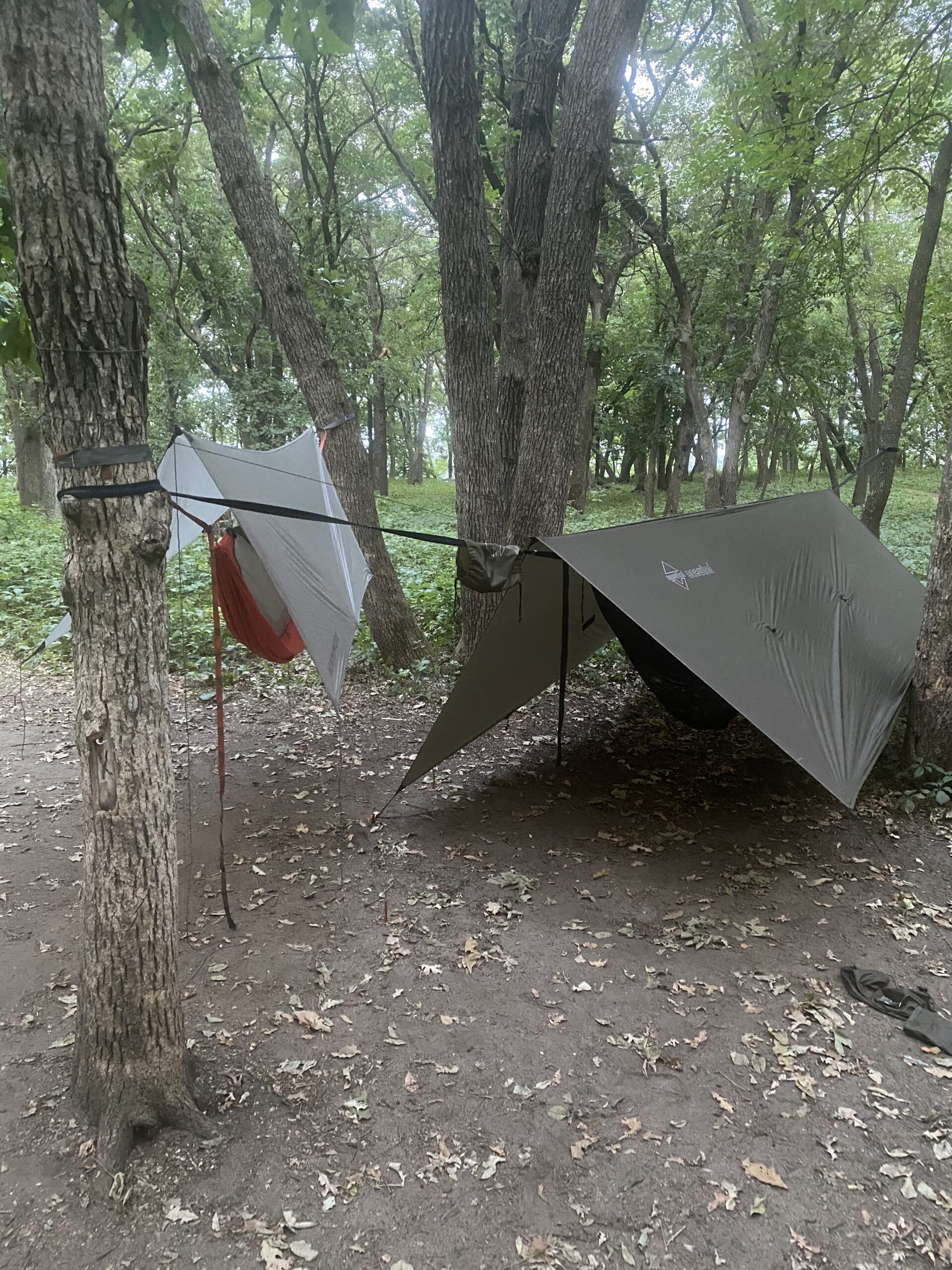 Onewind 11ft Camping Hammock with Bugnet, Portable Double Hammock with Mosquito Net, Backpacking Hammock with Adjustable Ridgeline customer photo 2