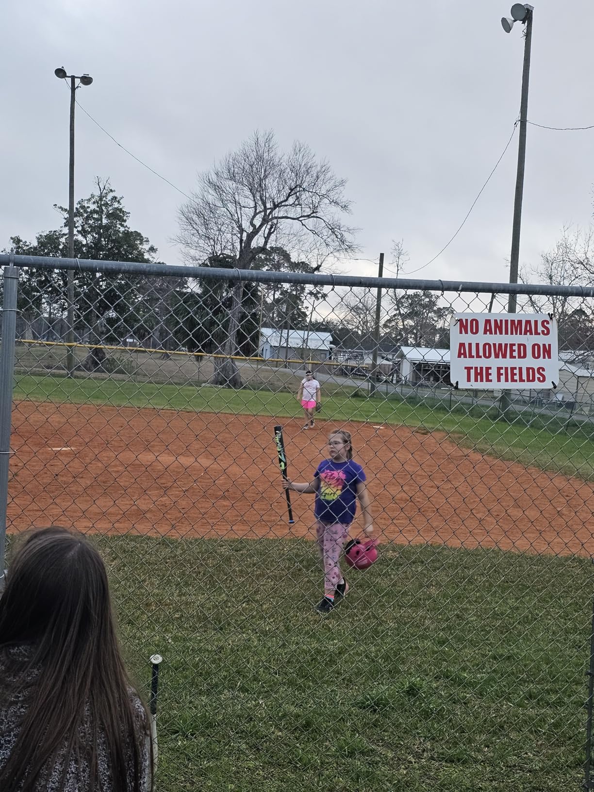 DeMarini 2025 Zenith (-13) Fastpitch Softball Bats customer photo 1