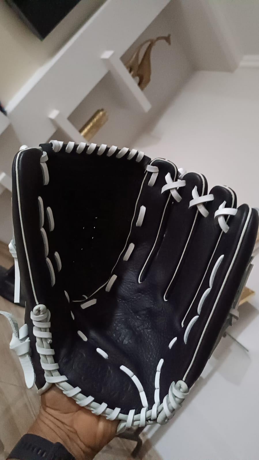 Rawlings | Shut Out Series Youth Fastpitch Softball Glove | Sizes 11.5
