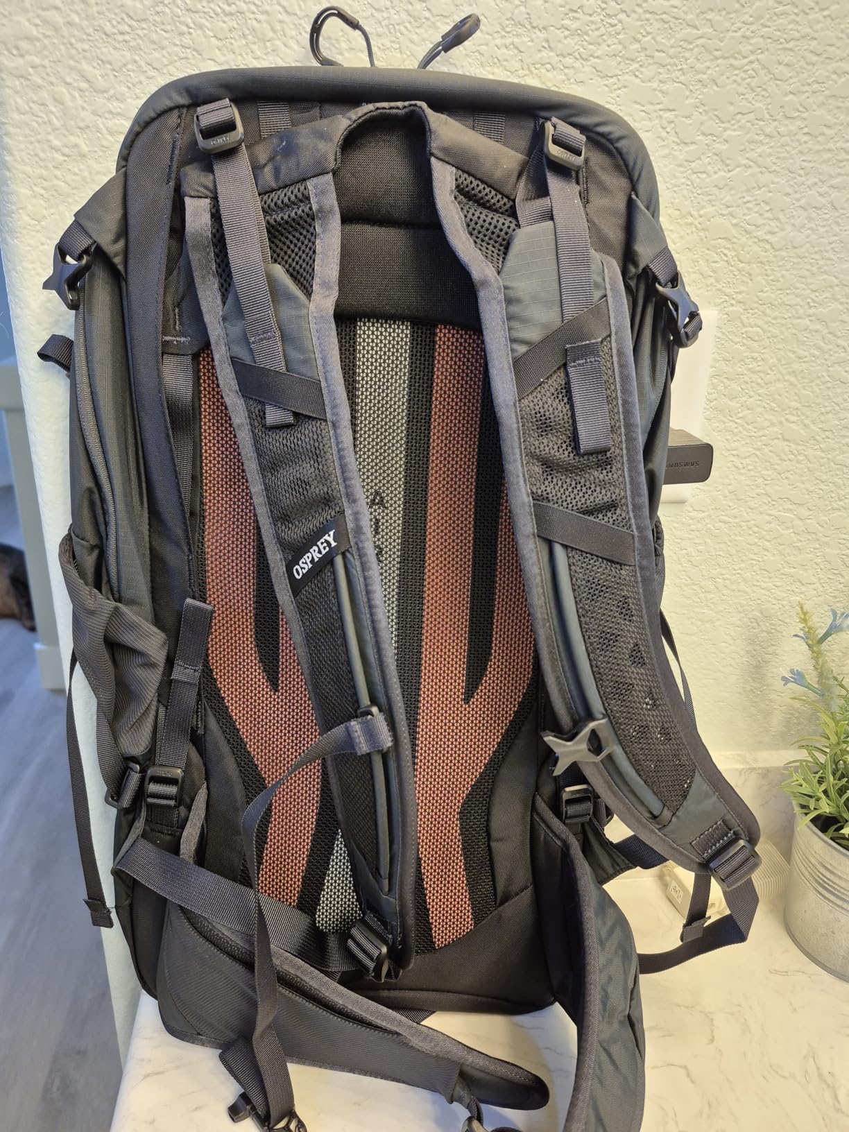Osprey Sportlite 15L Lightweight Hiking Backpack for Men and Women - Everyday Hiking Bag - Travel Daypack, Olive Tan customer photo 2