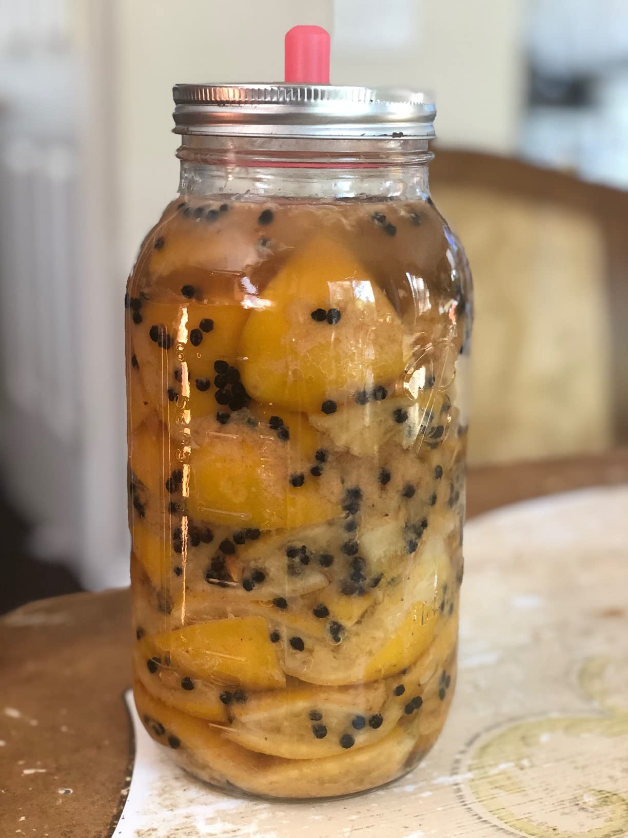 The Farmhouse Culture Guide to Fermenting: Crafting Live-Cultured Foods and Drinks with 100 Recipes from Kimchi to Kombucha [A Cookbook] customer photo 1