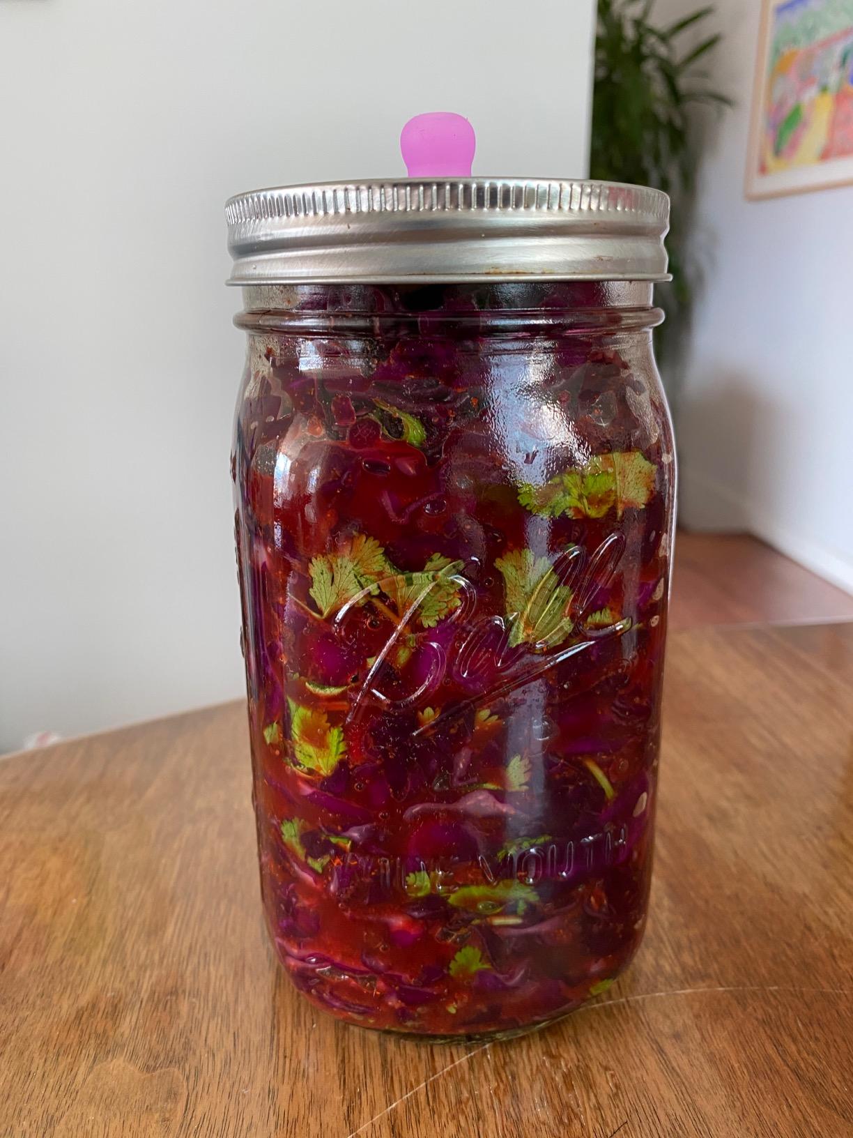The Farmhouse Culture Guide to Fermenting: Crafting Live-Cultured Foods and Drinks with 100 Recipes from Kimchi to Kombucha [A Cookbook] customer photo 2