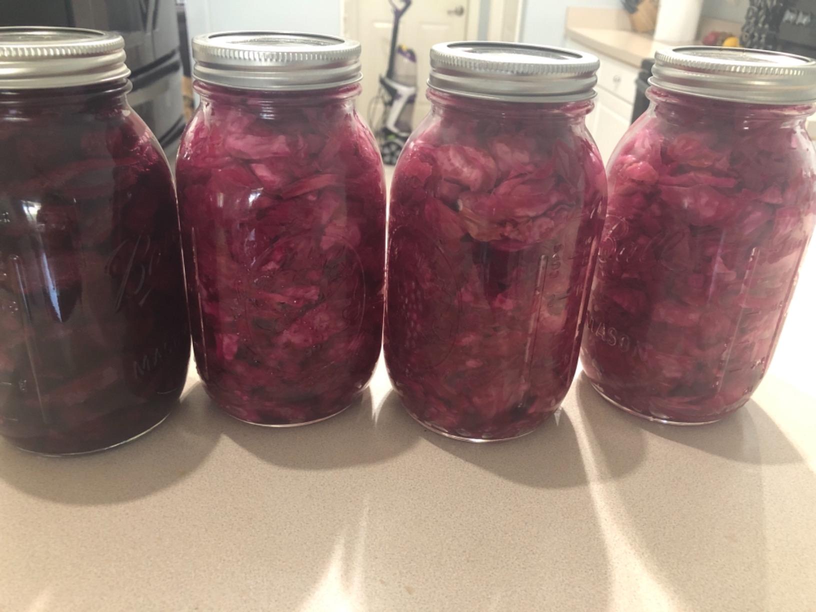 The Art of Fermentation: With Practical Information on Fermenting Vegetables, Fruits, Grains, Milk, Beans, Meats, and More customer photo 2