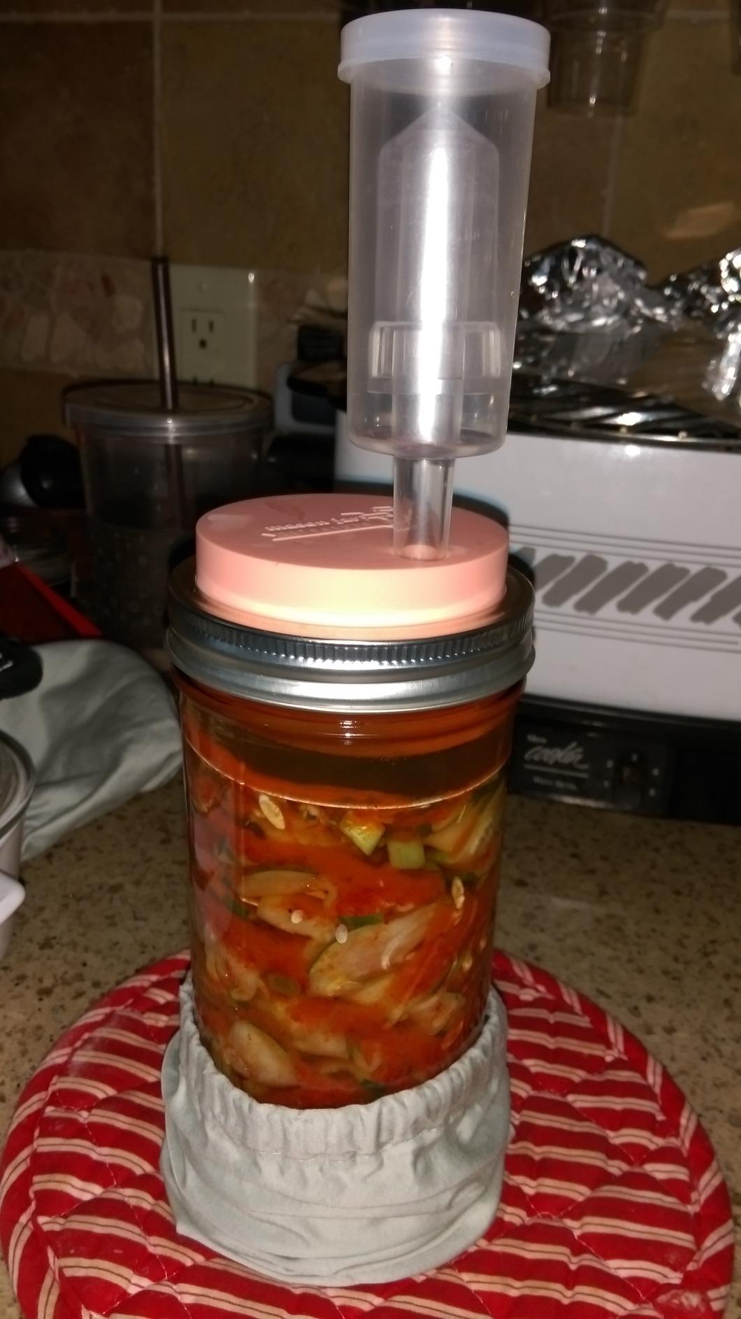 Fermented Vegetables, 10th Anniversary Edition: Creative Recipes for Fermenting 72 Vegetables, Fruits, & Herbs in Brined Pickles, Chutneys, Kimchis, Krauts, Pastes & Relishes customer photo 1