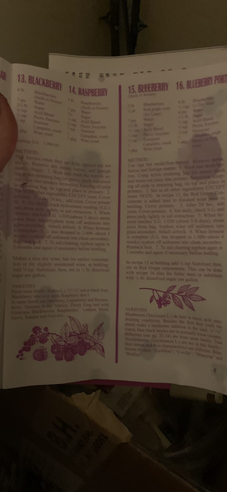 1 Gallon Wine from Fruit Kit customer photo 1