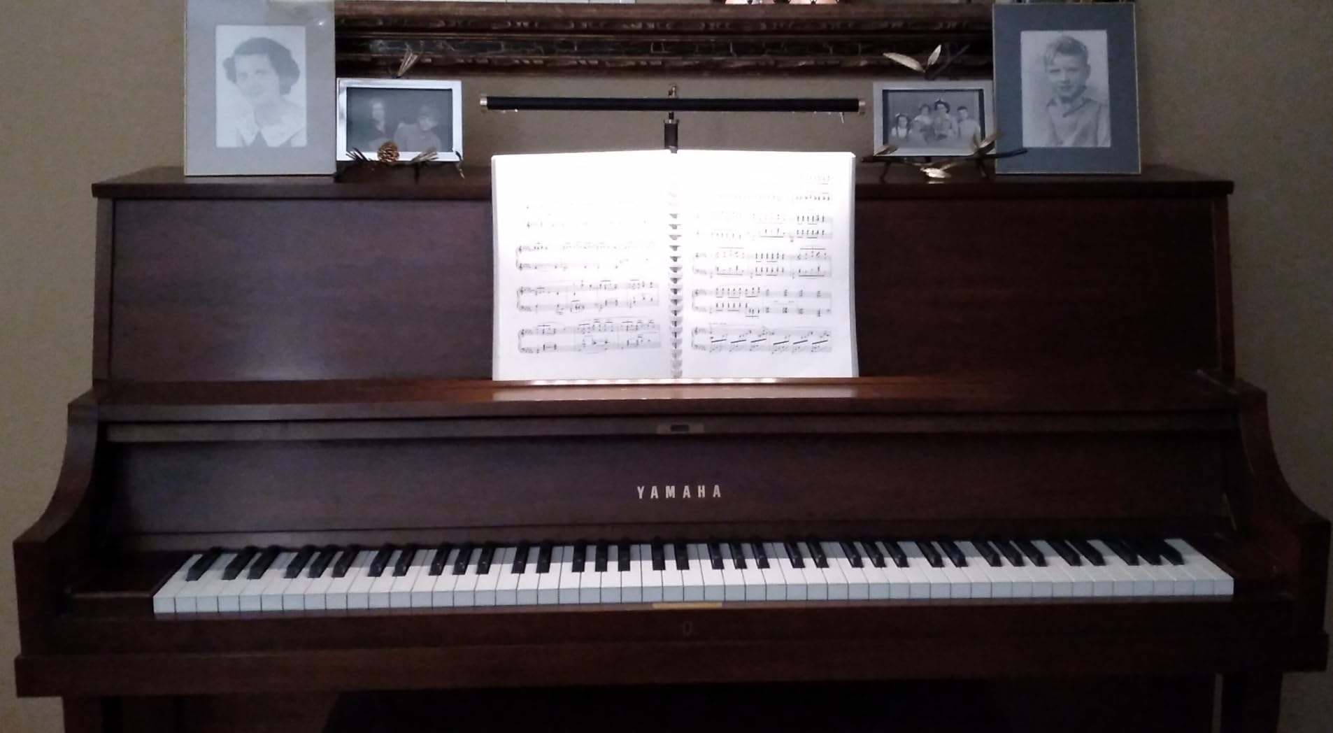Cocoweb Adjustable LED Upright Piano Desk Lamp in Black with Brass Accents - PLED101D customer photo 1