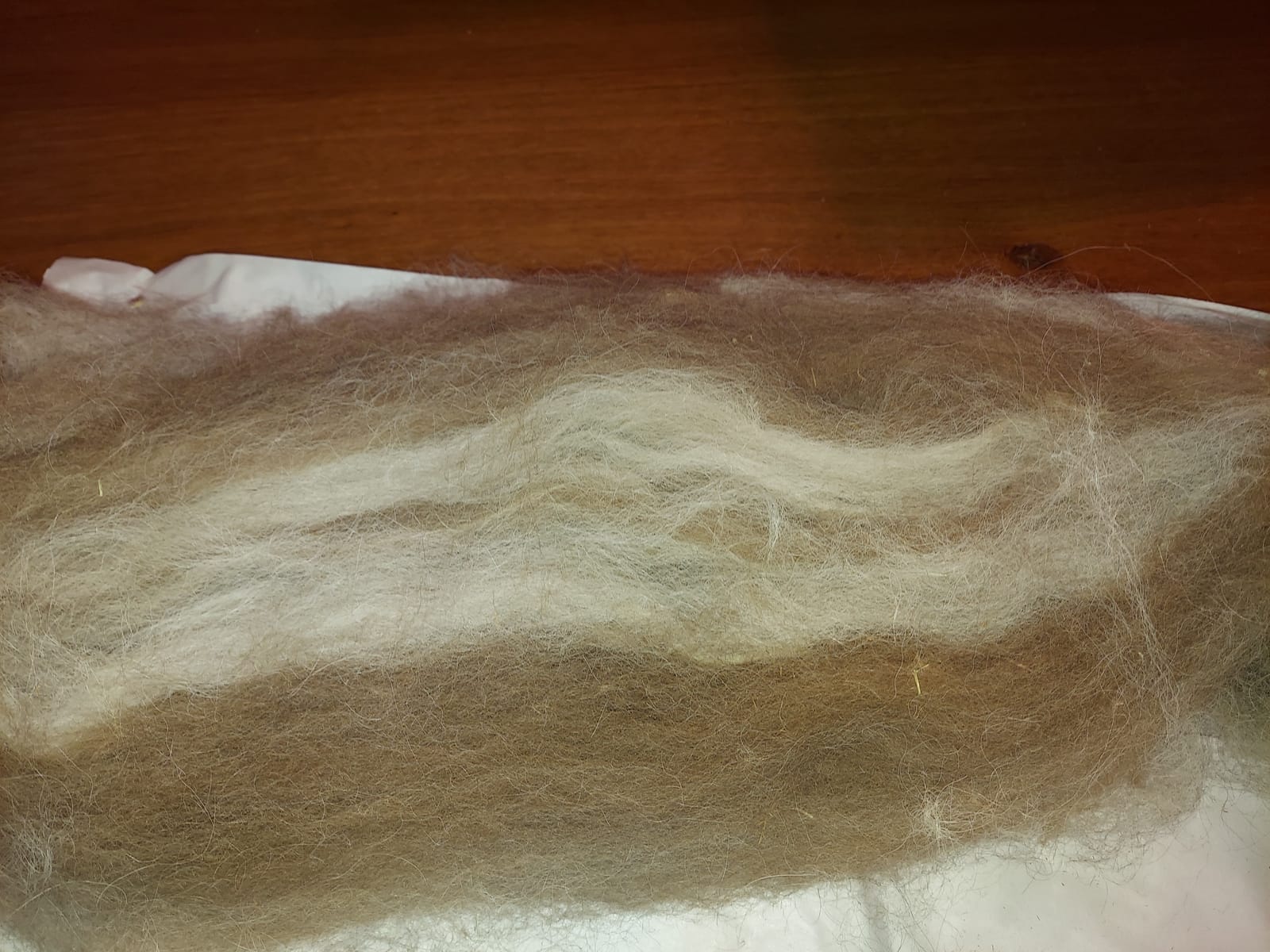 Ashford Wild Drum Carder customer photo 1