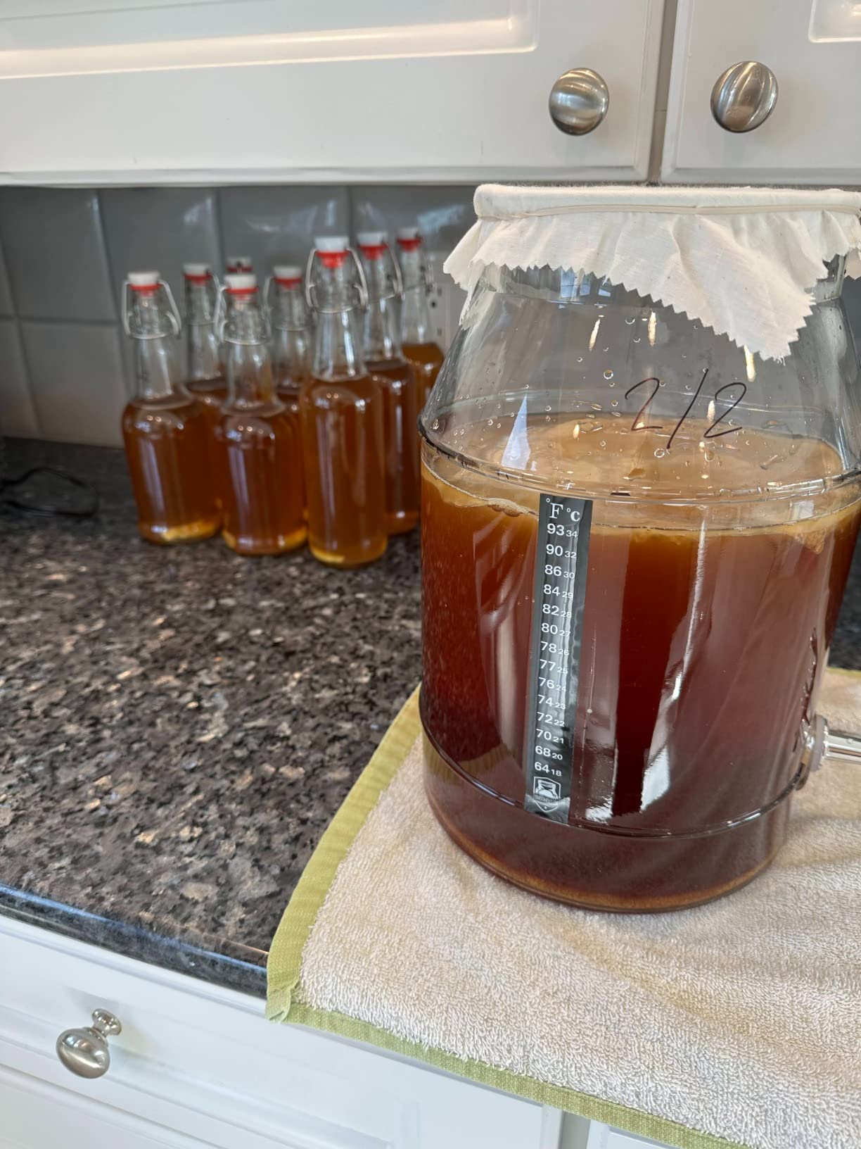 Deluxe Organic Kombucha Starter Kit - Six Swing Top Bottles, Stainless Steel Funnel, Custom Bottle Brush & Our Original Brewing Kit - The Kombucha Shop customer photo 2
