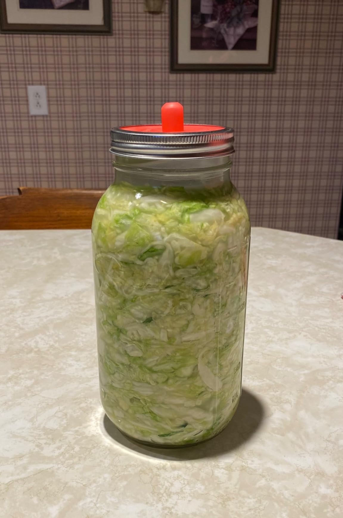 Masontops Complete Mason Jar Fermentation Kit - Pickle Kit, Sauerkraut Making Kit Kimchi Container - Fermentation Airlock Lids Wide Mouth Mason Jars customer photo 1