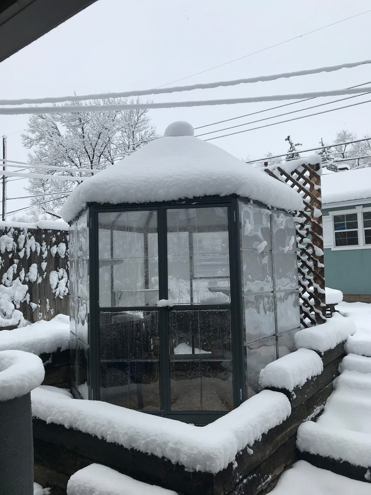 Palram - Canopia Oasis Hex 7' x 8' Polycarbonate Aluminum Greenhouse, Gray | Outdoor Backyard Home Garden Walk-In DIY Kit, Twin-Wall UV Protected, Heavy-Duty Aluminum Frame, Lockable Door, Roof Vent customer photo 2