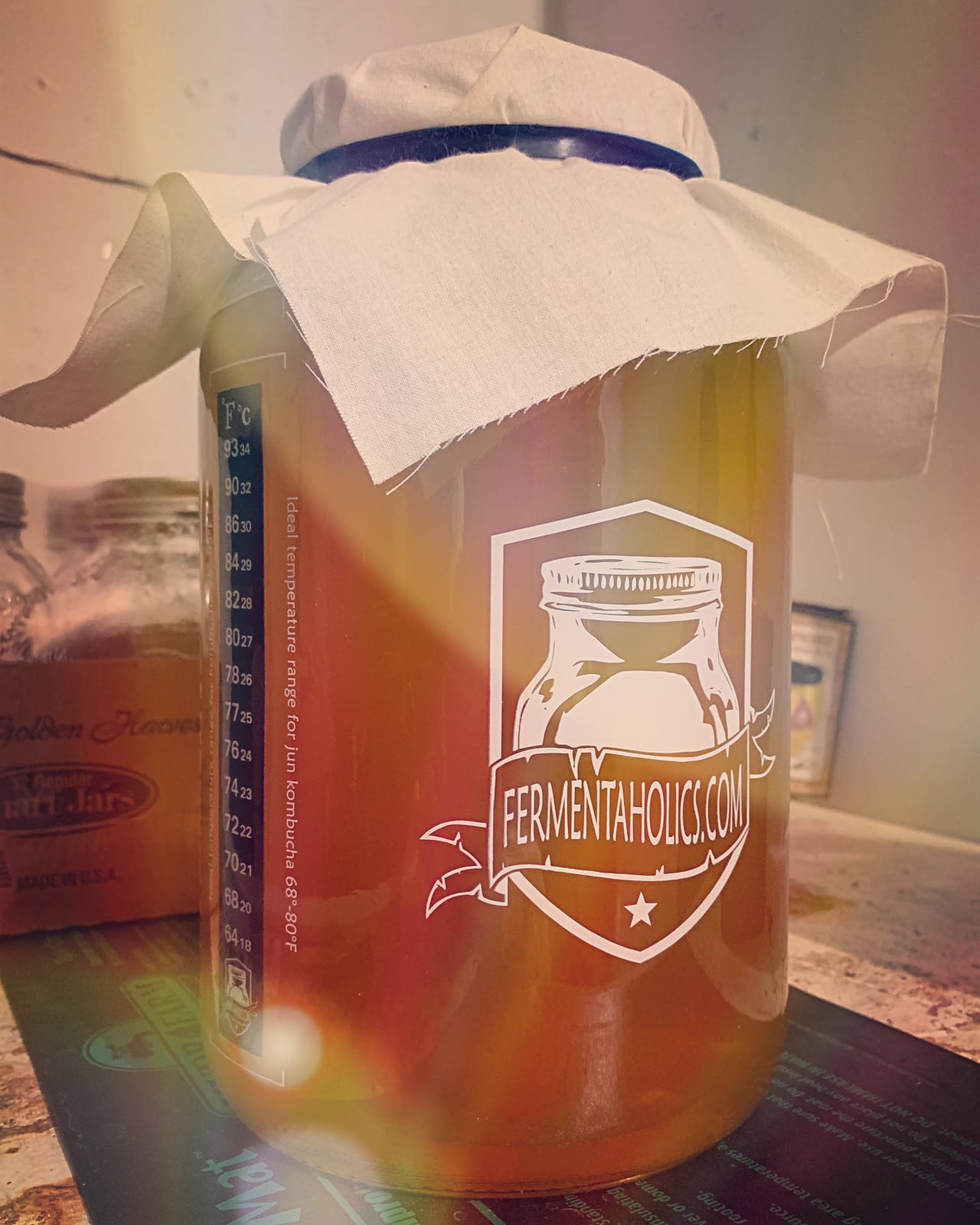 Fermentaholics Kombucha Brewing Starter Kit - USDA Certified Organic SCOBY & Tea customer photo 1