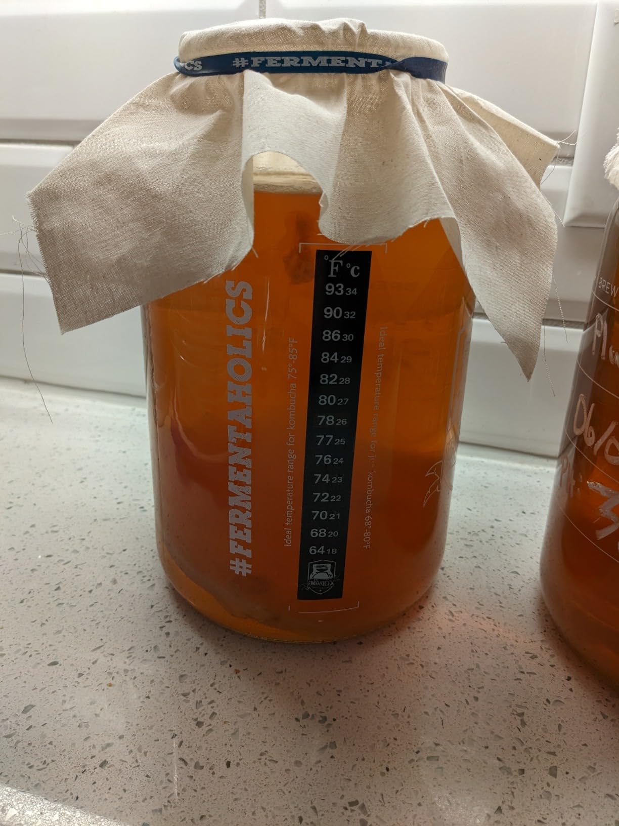 Fermentaholics Kombucha Brewing Starter Kit - USDA Certified Organic SCOBY & Tea customer photo 2