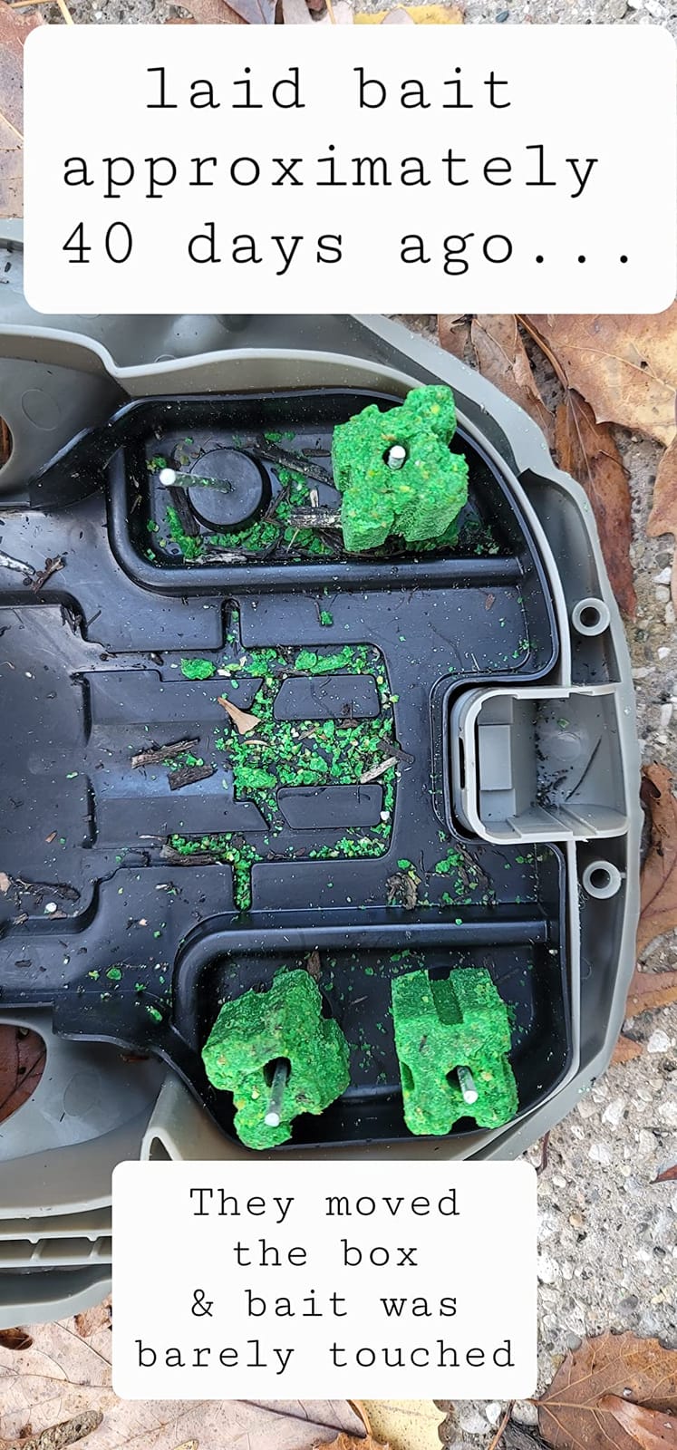 JT Eaton Rodent Rock 2G Tamper-Resistant Bait Station, Outdoor customer photo 2