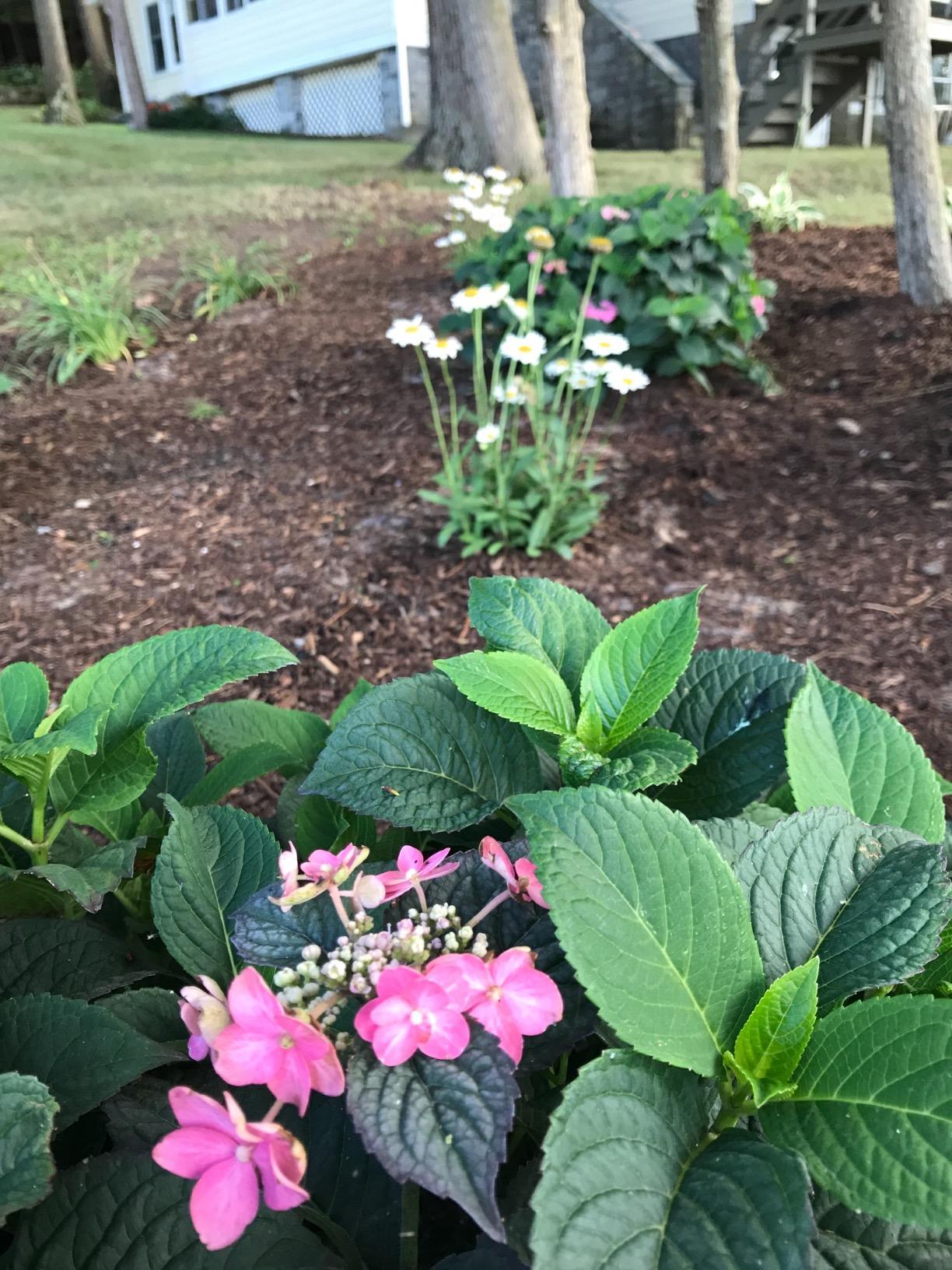 Rocky Mountain Goods Soaker Hose - Heavy duty rubber - Saves 70% water - End cap included for additional hose connect - Great for gardens/flower beds - Reinforced fittings (50-Feet by 5/8-Inch) customer photo 1