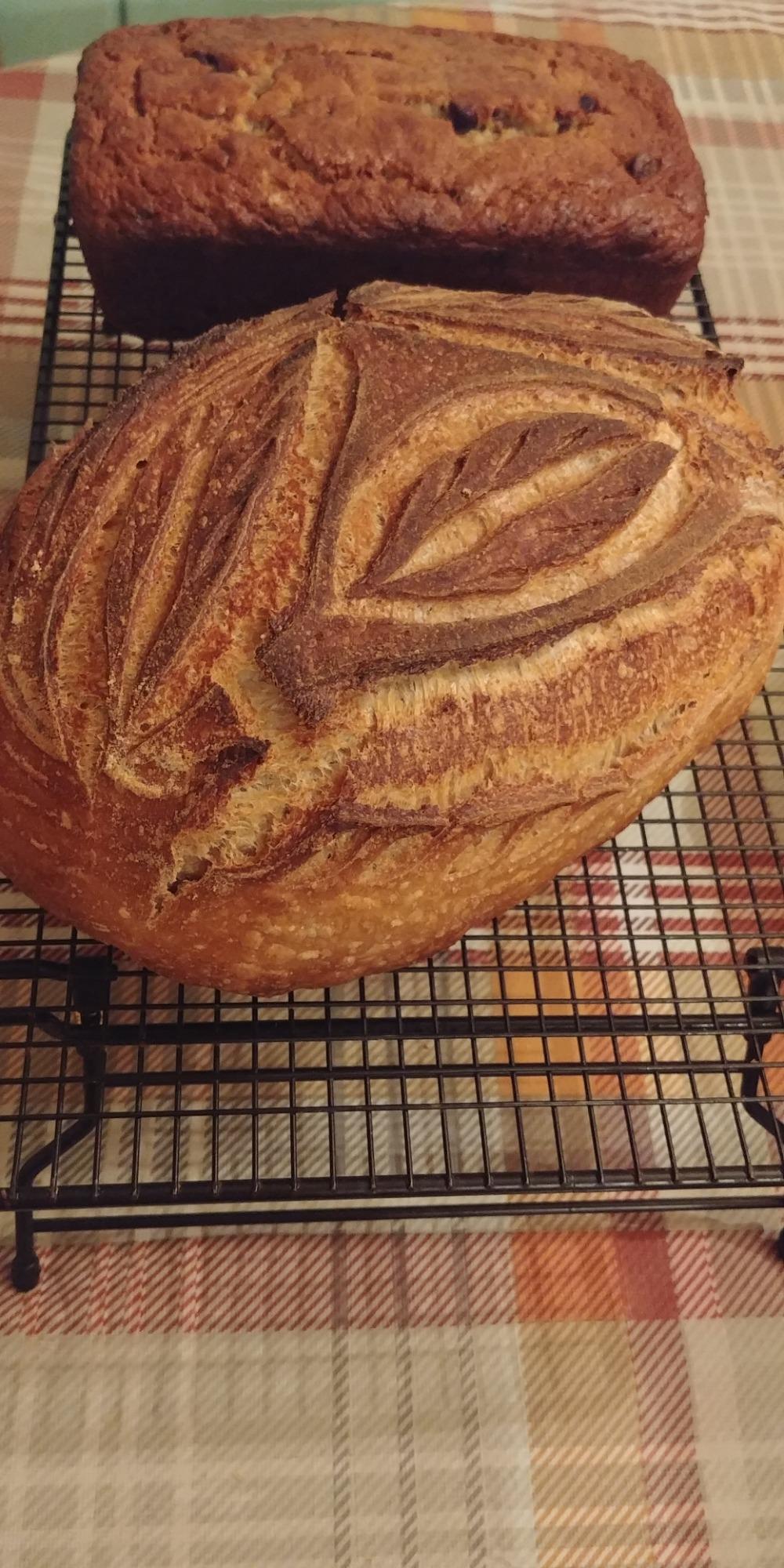 Baker of Seville Bread Lame - Patented 2-in-1 Stainless Scoring Tool | Featured in America's Test Kitchen, Bon Appetit & Food & Wine. 6 blades + case included. customer photo 1