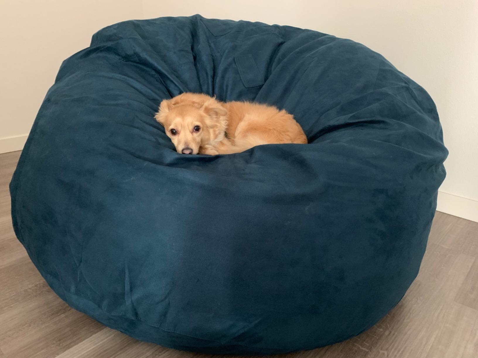 Lumaland Luxurious Giant 7ft Bean Bag Chair with Microsuede Cover - Ultra Soft, Foam Filling, Washable XXL Bean Bag Sofa for Kids, Teenagers, Adults - Sack Chair for Dorm, Family Room - Light Green customer photo 1
