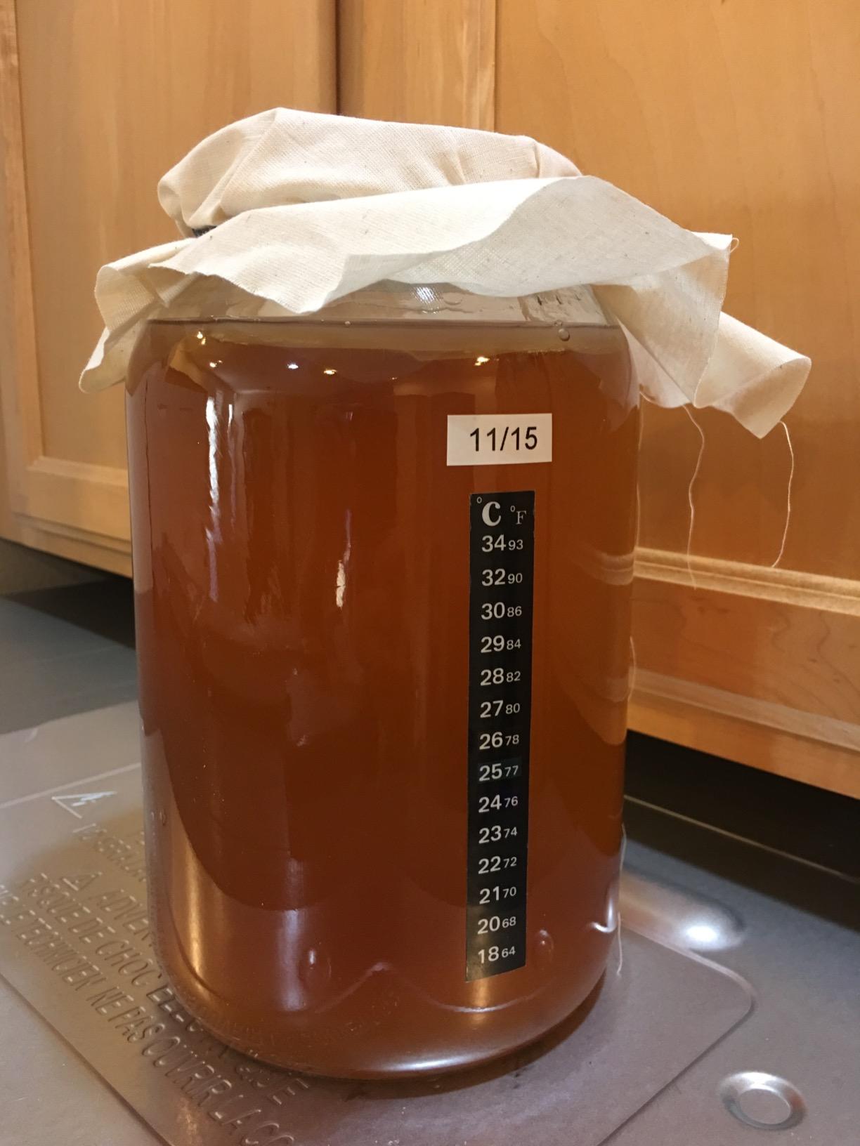 Kombucha Essentials Kit - USDA Organic SCOBY + 1-Gallon Glass Fermenting Jar customer photo 1