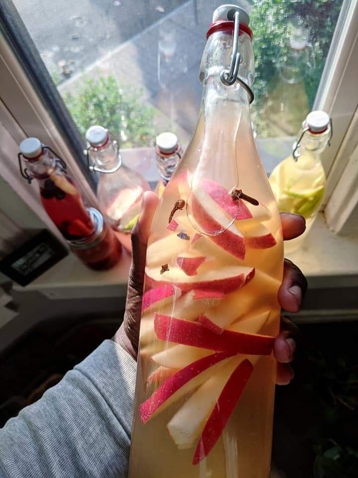 Kombucha Starter Kit - Organic SCOBY, Starter Liquid, 1 Gallon Glass Jar, Temp Gauge, Tea, and Sugar customer photo 1