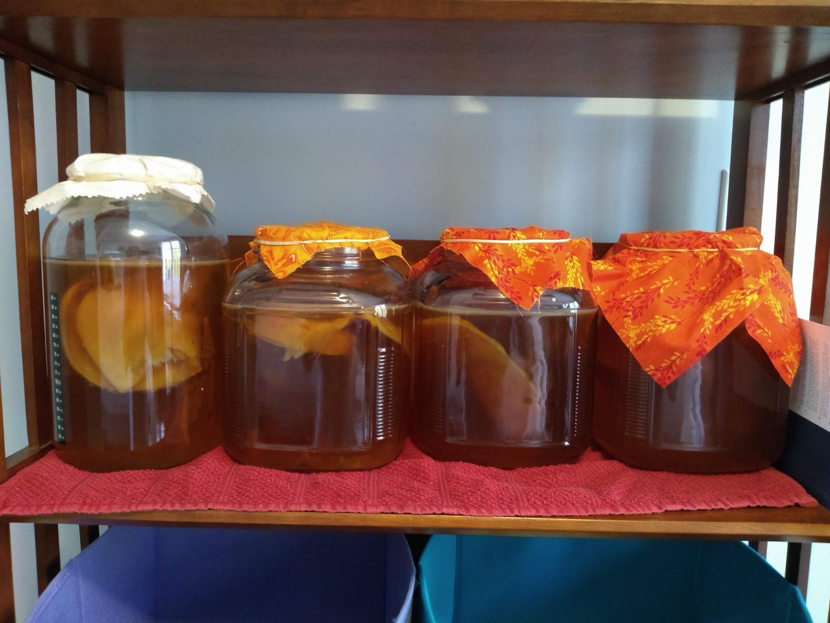 Kombucha Starter Kit - Organic SCOBY, Starter Liquid, 1 Gallon Glass Jar, Temp Gauge, Tea, and Sugar customer photo 2
