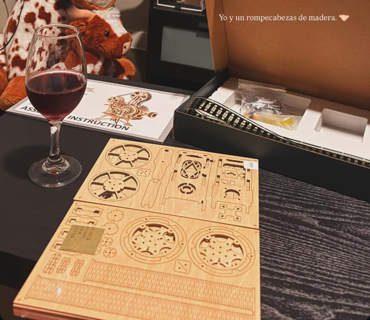 ROKR 3D Wooden Puzzles Vitascope for Adults - Model Building Kits Mechanical Construction customer photo 1