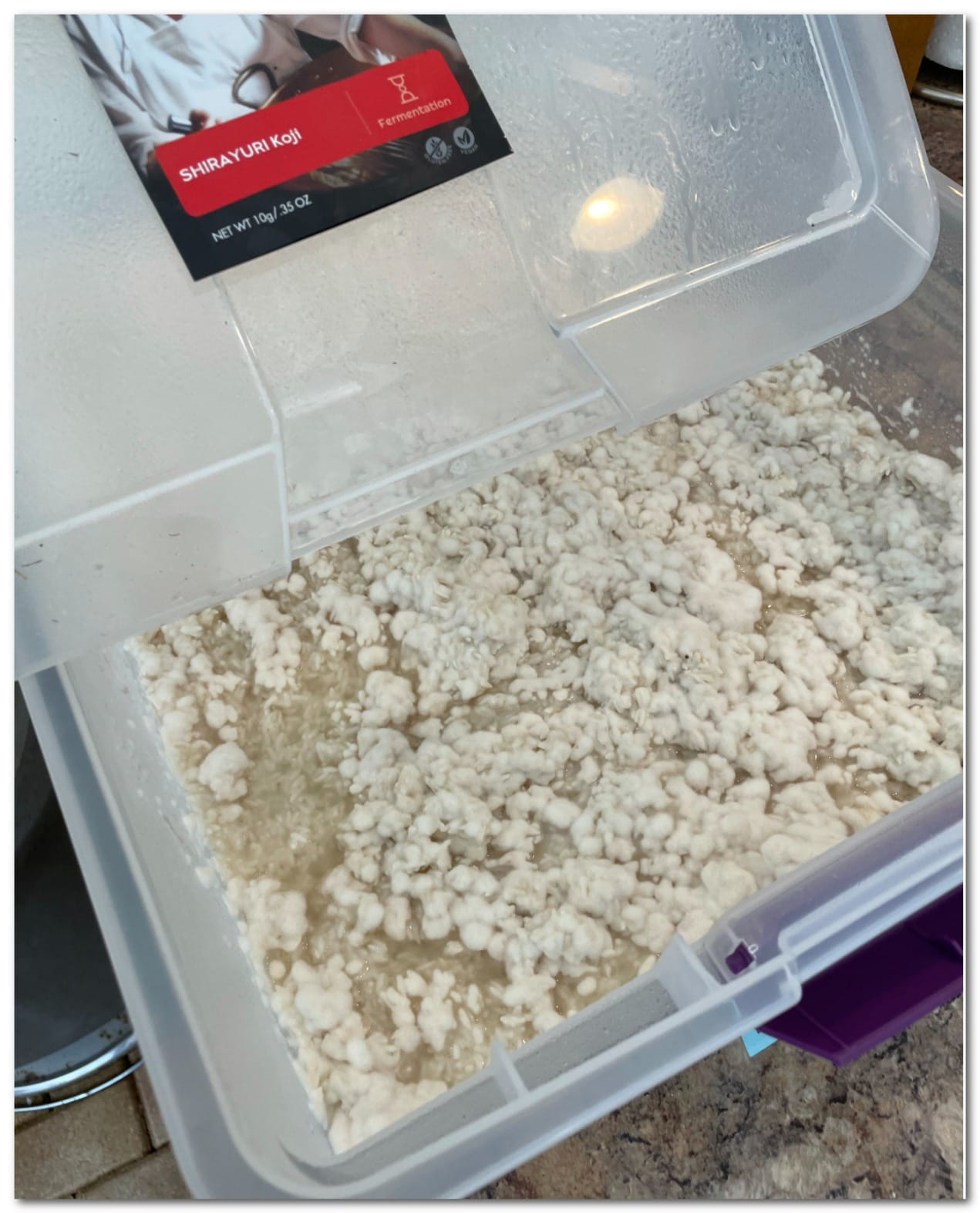 Shirayuri Koji [Aspergillus oryzae] Spores Gluten-Free Vegan - 10g/0.35oz customer photo 1