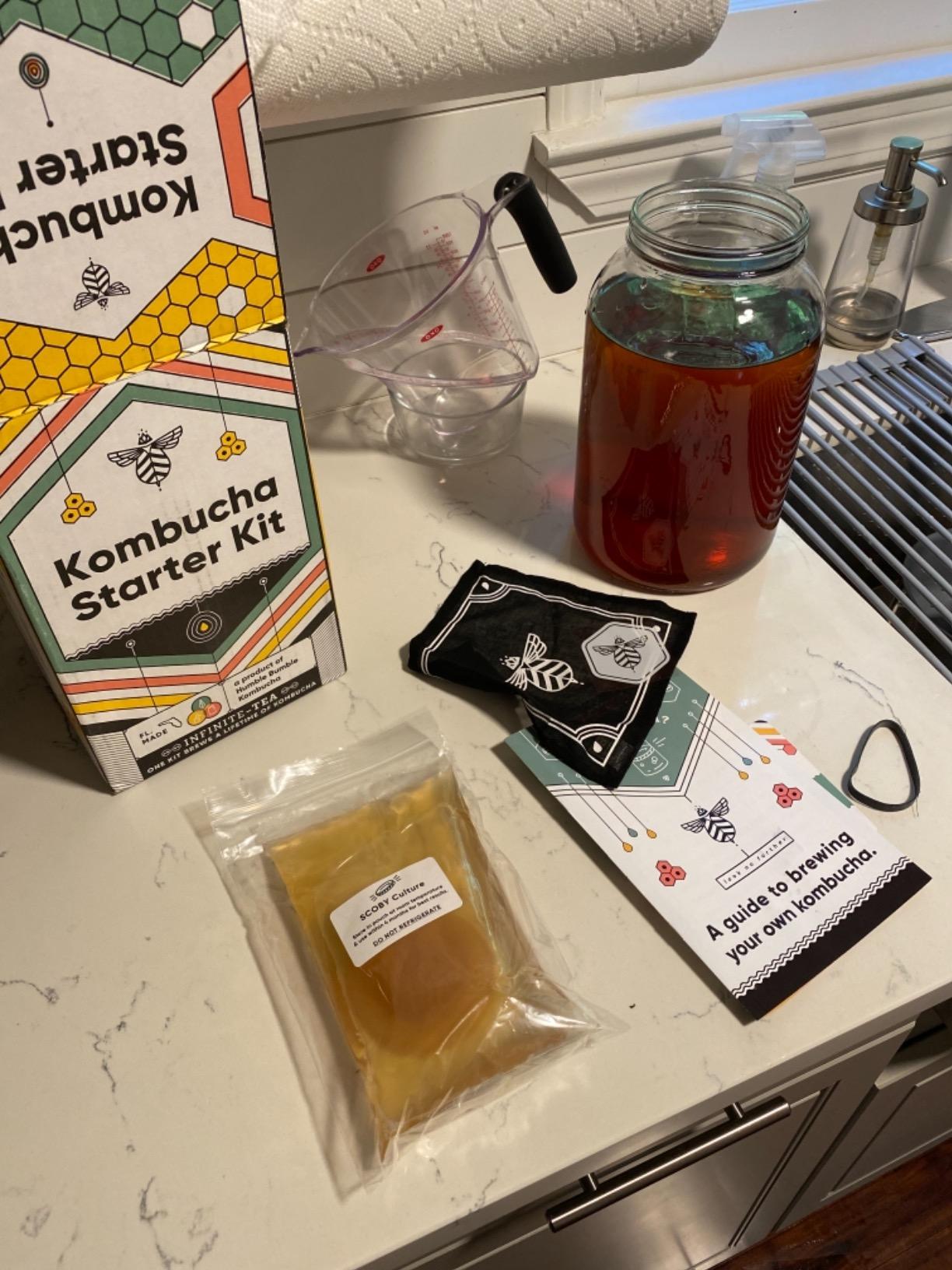 Craft A Brew Home Brewing Starter Kit Kombucha Tea Kit - Home Kombucha Kit - Fermentation Starter with Kombucha SCOBY - 1 Gallon customer photo 1