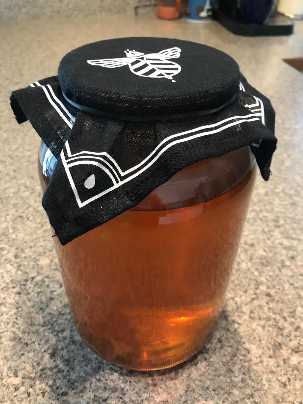 Craft A Brew Home Brewing Starter Kit Kombucha Tea Kit - Home Kombucha Kit - Fermentation Starter with Kombucha SCOBY - 1 Gallon customer photo 2
