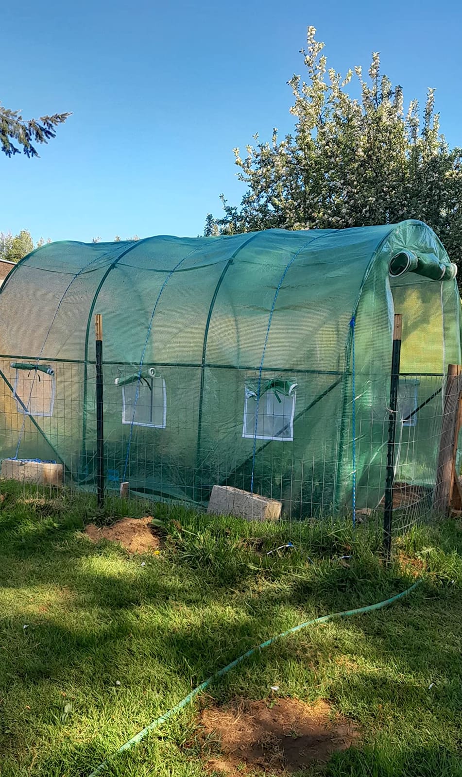 Greenhouse for Outdoors Greenhouse Walk-in Green House L10'xW7'xH7' Plastic Mini Greenhouse Kit Indoor Portable Greenhouse Plant Shelves Tomato Herb Canopy for Patio customer photo 1