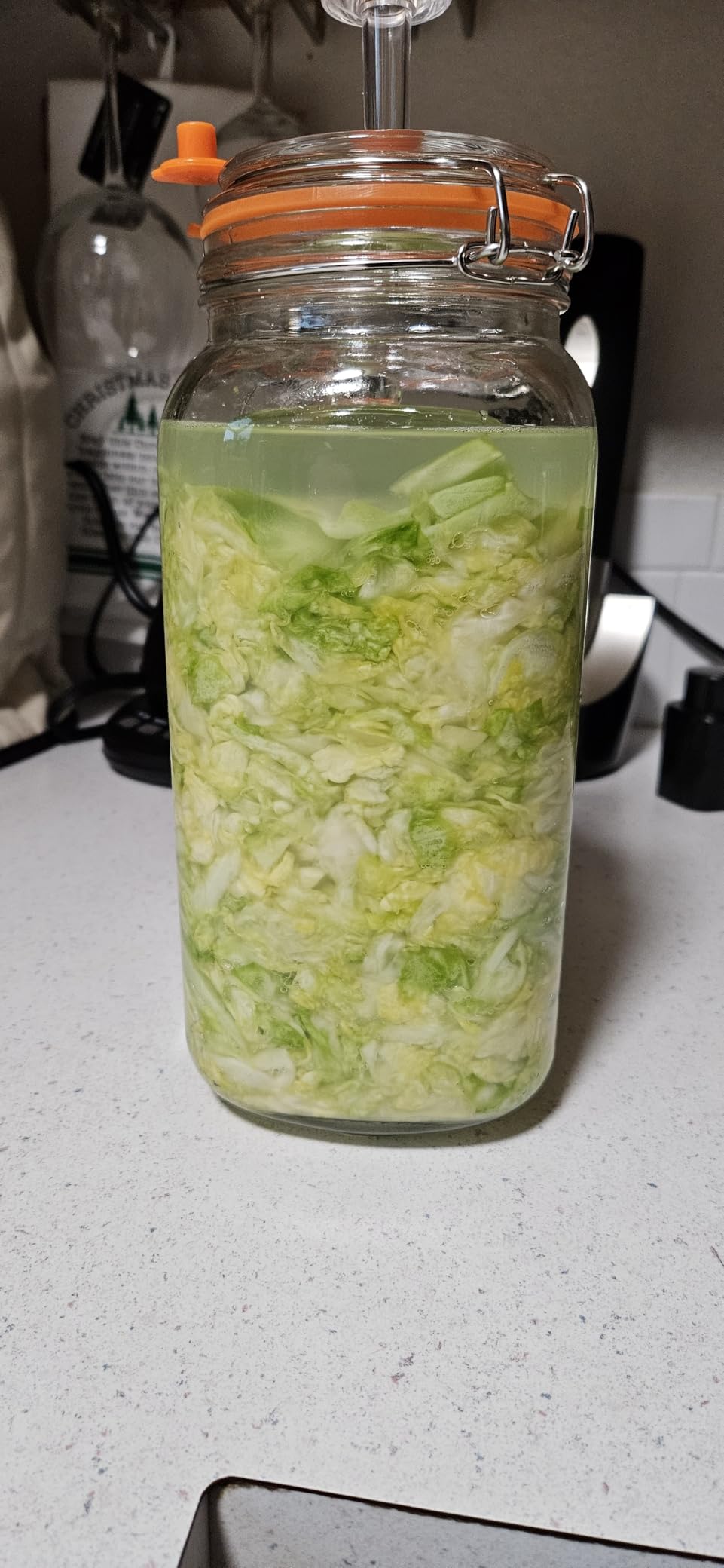 JILLMO 2L Wide Mouth Fermentation Jar with Airlock & Weight, 2 Pack | Fermentation Kit for Homemade Kimchi, Sauerkraut, Pickles and More customer photo 1