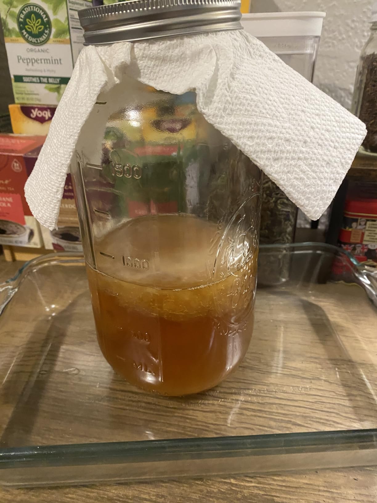 Organic SCOBY Kombucha Starter Kit with Live Culture for Brewing Kombucha Tea - Urban Kitchen customer photo 2