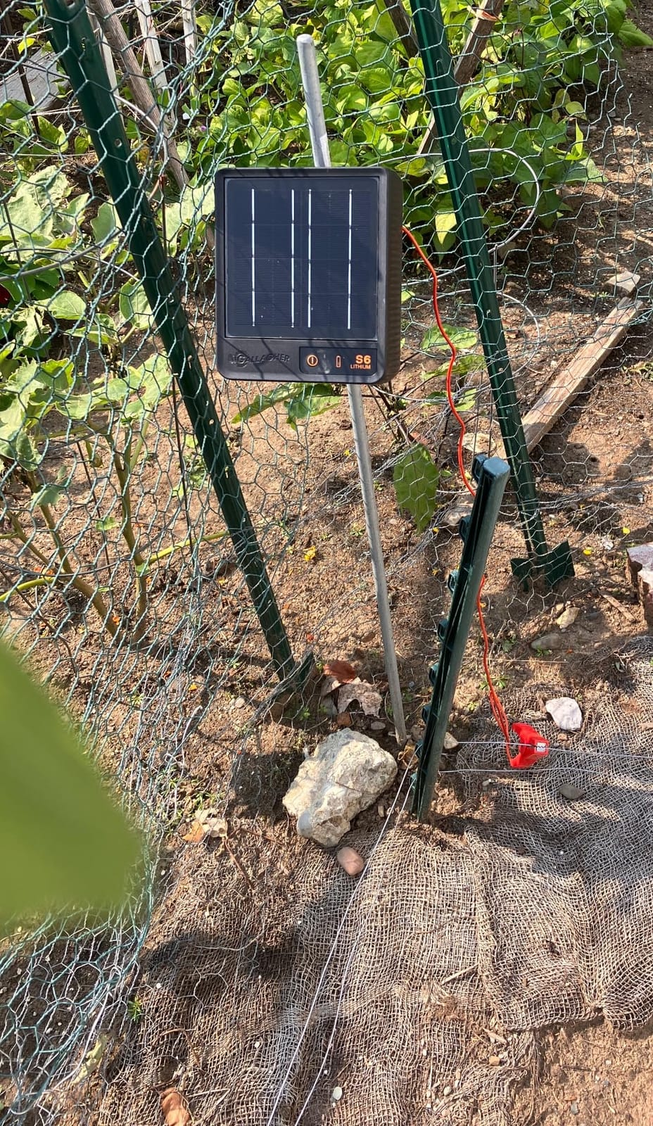 Gallagher S6 Solar Electric Fence Charger | Solar Fence Energizer for Gardens, Chickens, Goats, and Pets | Solar-Powered Fence Charger with Lithium Battery | Mounts Directly to Grounding Rod customer photo 2