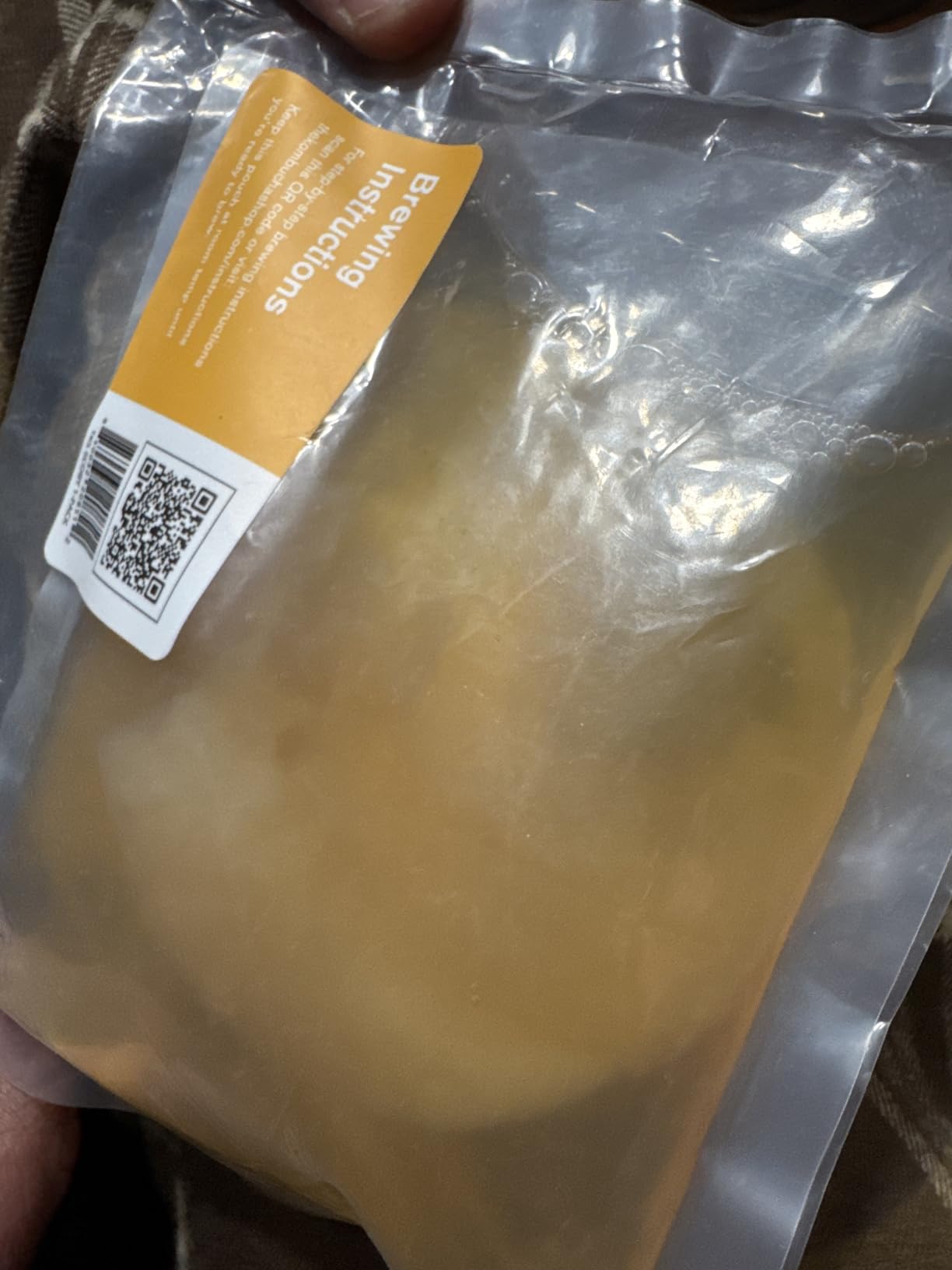 100% Organic SCOBY Kombucha Starter Kit - 100% Guaranteed to Brew - Fresh, Live Culture with Starter Liquid - The Kombucha Shop customer photo 1