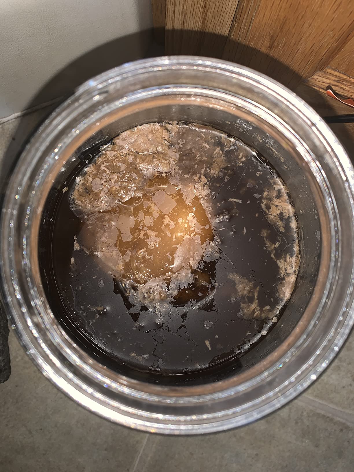 100% Organic SCOBY Kombucha Starter Kit - 100% Guaranteed to Brew - Fresh, Live Culture with Starter Liquid - The Kombucha Shop customer photo 2