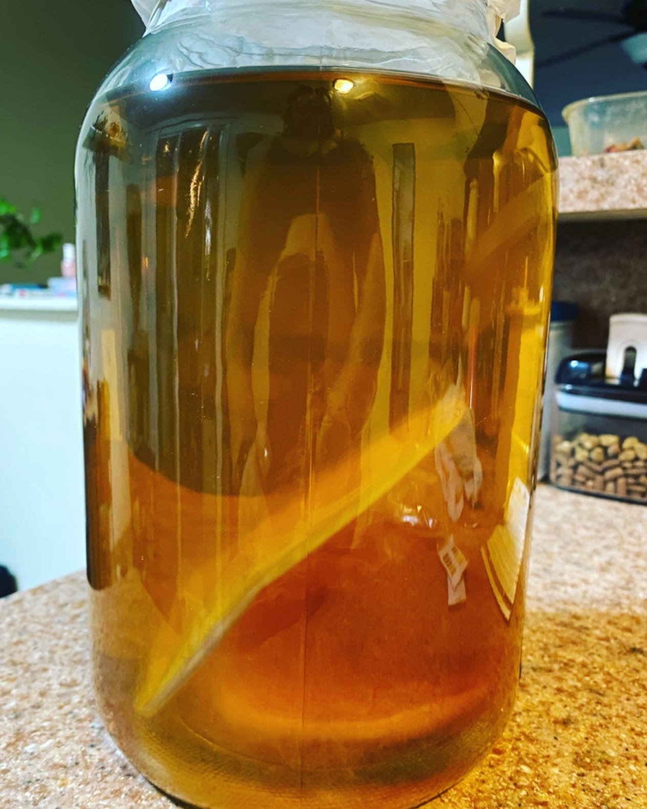 Deluxe Kombucha Starter Kit with Kombucha SCOBY & Starter Tea, Full Kombucha Kit with Bottles Swing Top Glass Bottles Kombucha Brewing Kit + 6 Bottles to Flavor Kombucha (Clear Bottles) customer photo 2