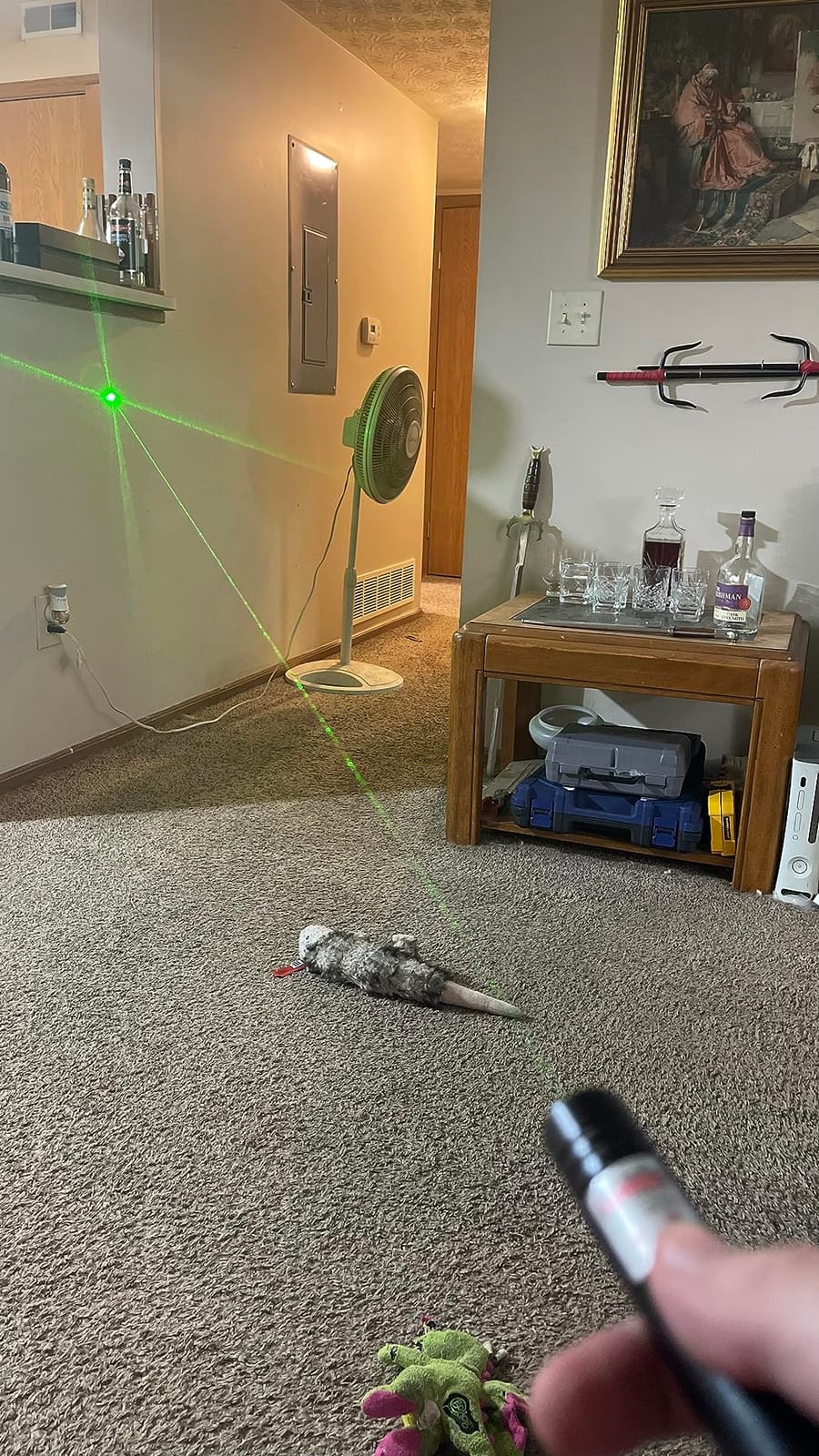 IVVTRYI Green Laser Pointer - Rechargeable | USB Charging for Presentations and Office customer photo 2