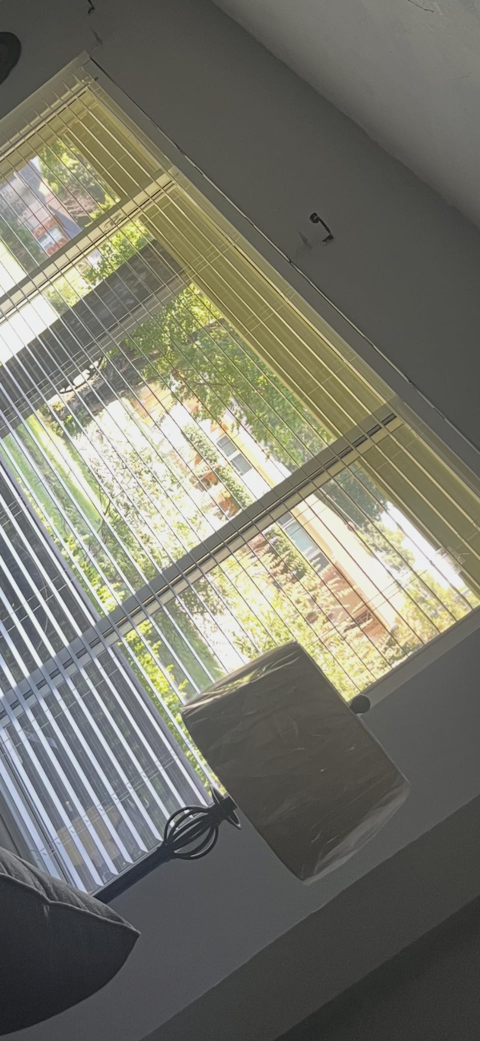 Lotus & Windoware 2