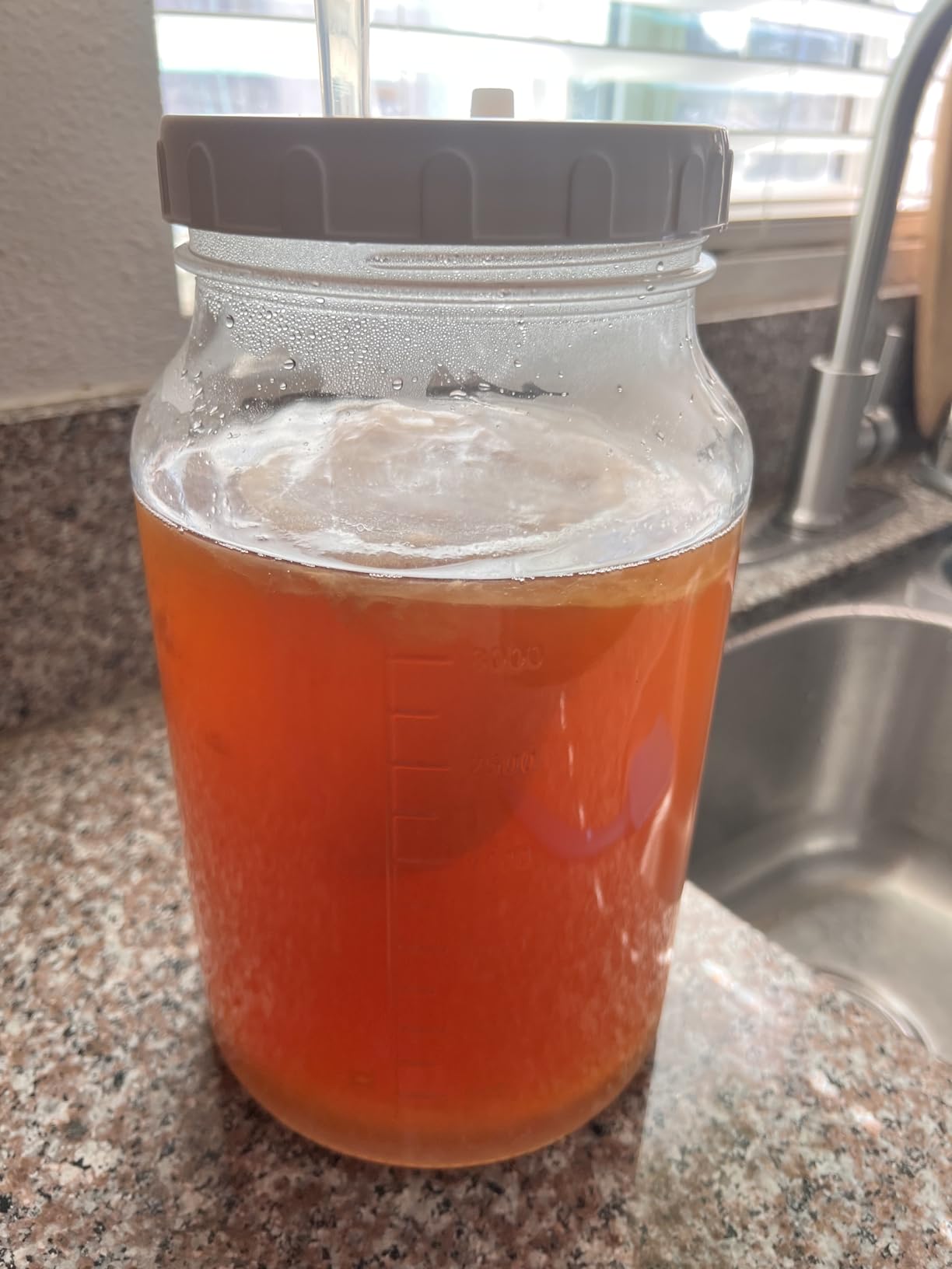 Qianfenie 1 Gallon Fermentation Jar with 3 Airlocks & 2 Screw Lids, 2 Pack | Wide Mouth, Airtight Lids, Scale Mark, Heavy-Duty Glass Jars for Kombucha, Mead Making, Sauerkraut, Sourdough Starter, Pickle customer photo 2