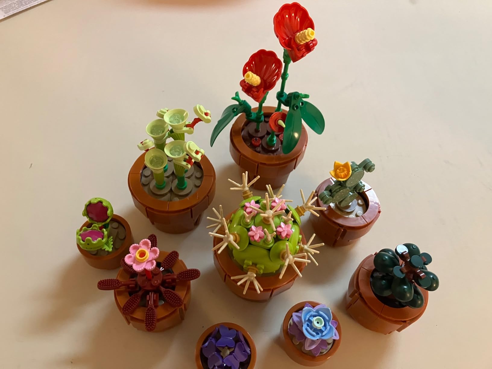 LEGO Botanicals Tiny Plants - Artificial, Fake Indoor Plant Building Set for Home, Kitchen, Desk Decoration, Adults Ages 18+ - Gift for Birthdays - 10329 customer photo 1