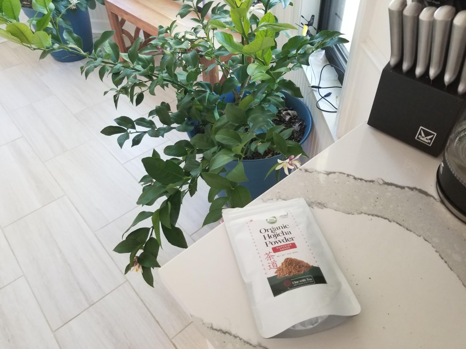 One With Tea Organic Hojicha Powder, Roasted Japanese Green Tea Powder, Stone Ground, Low Caffeine, Smooth Flavor, 2 oz (60g), Perfect for Latte & Iced Drinks customer photo 1