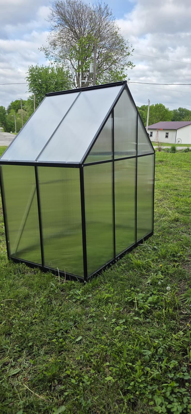 8X10FT Enhanced Aluminum Walk-in Greenhouse for Outdoors with Thermometer | Easy Assembly, UV-Resistant Panel, Rain Gutter, Lockable Hinged Door, Built-in Reinforcement, For Vegetable, Flower and Herb customer photo 2