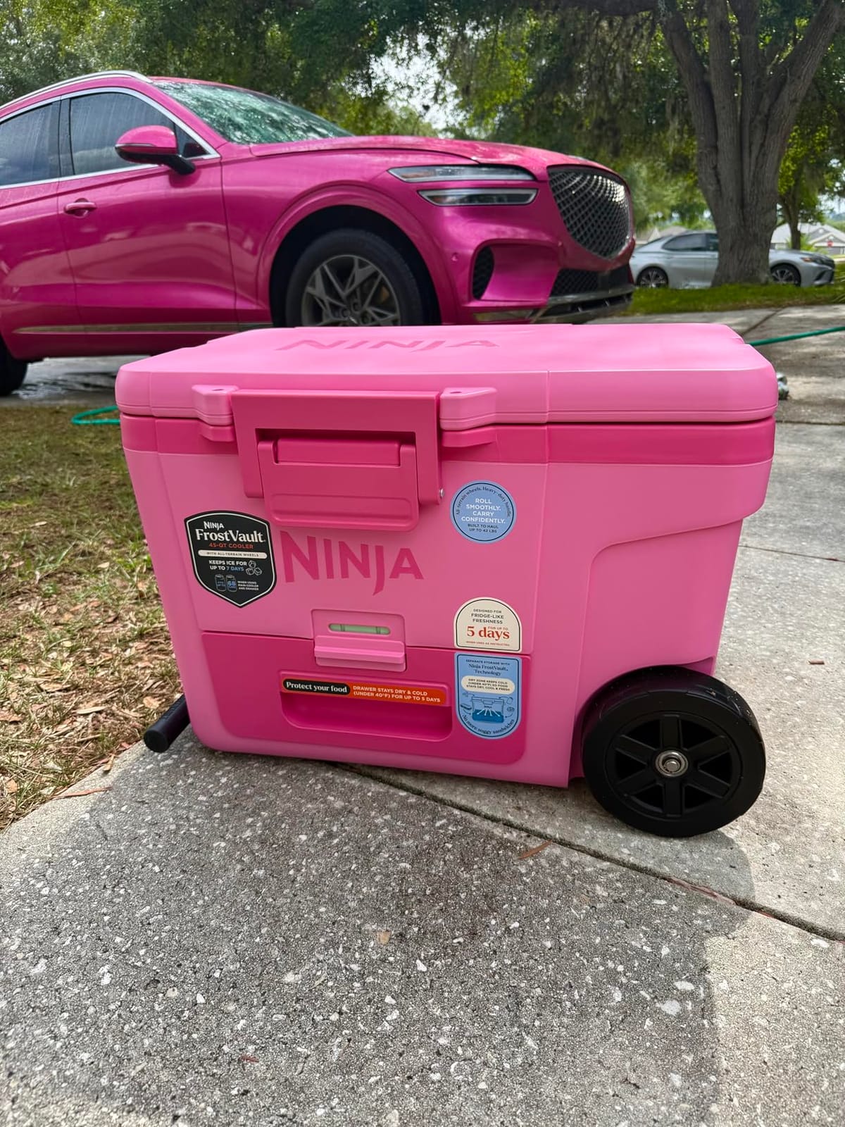 Ninja FrostVault™ 45qt Cooler with Wheels, Dry Storage, Lakeshore Blue | Ninja FrostVault's 45-qt capacity holds 68 cans, keeps food cool & dry, and rolls easily on all-terrain wheels customer photo 1
