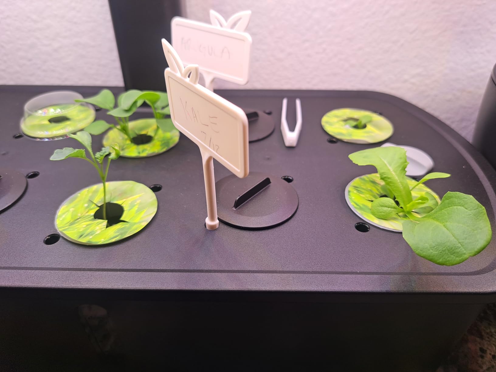 LETPOT LPH-Air 10-Pod Hydroponics Growing System Indoor Garden Kit | APP & WiFi Controlled, Adjustable 24W Grow Light Full Spectrum, Indoor Gardening for Gifts, Kitchen, Vegetable customer photo 2