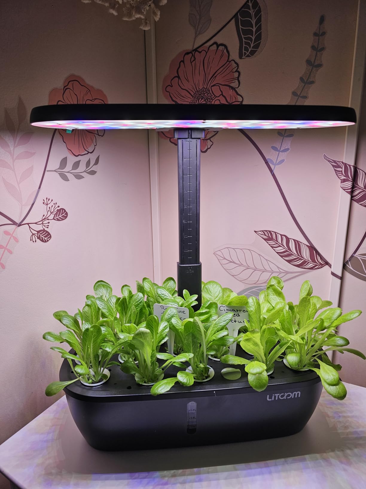 litokam Hydroponics Growing System Kit, 15-Pod Indoor Herb Garden Planter with 24W Grow Light & APP Control, Indoor Gardening System with 2 Grow Modes, Quiet Pump & 24H Timer customer photo 2