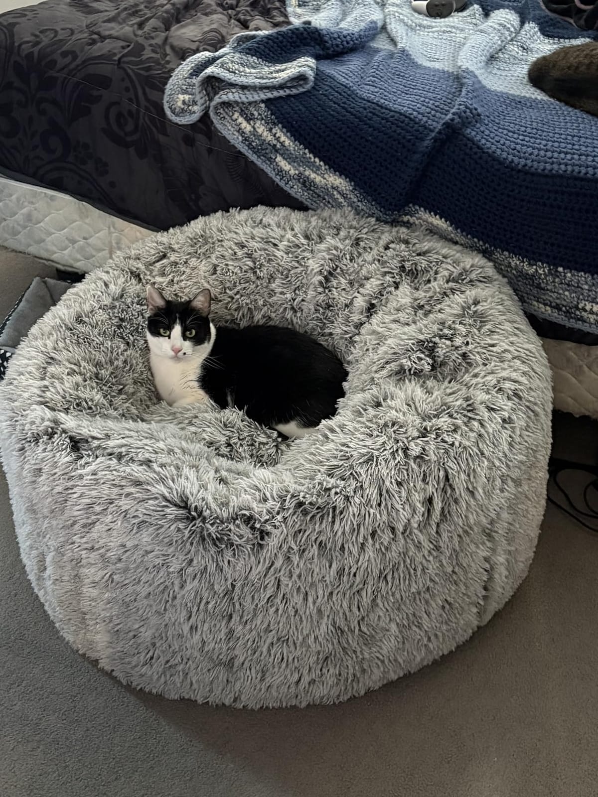 Plush Faux Fur Bean Bag Chairs, Memory Foam Filled Sofa Chair Shape Bean Bag for Adults/Teens/Kids, Ultra-Soft Lazy Sofa for Living Room Bedroom College Dorm, Grey customer photo 2