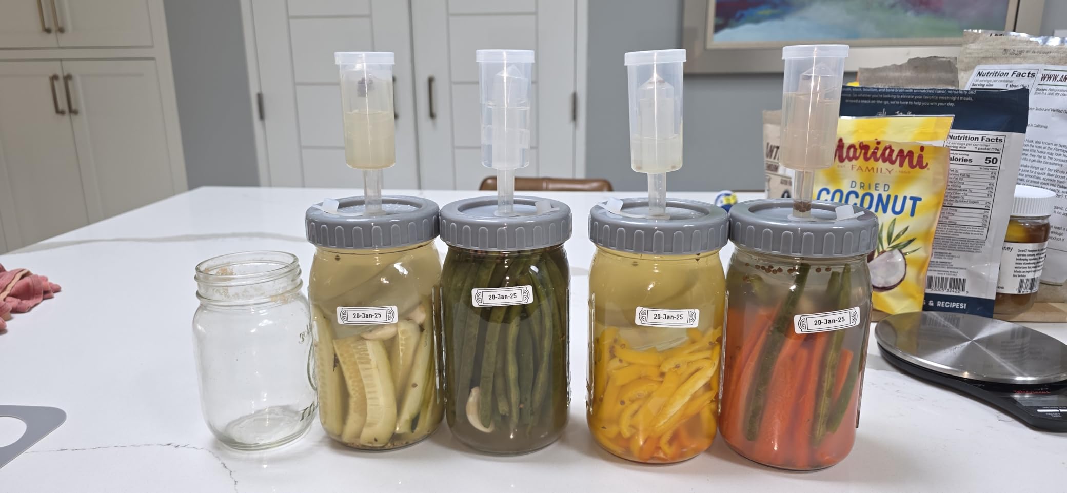 4-Pack Mason Jar Fermentation Kit With Four 32 Oz Jars And Plastic Lids | Complete Kit With Airlocks, Silicone Rings, Grommets, And Glass Weights For Simple Fermenting, Ideal For Beginners. customer photo 1